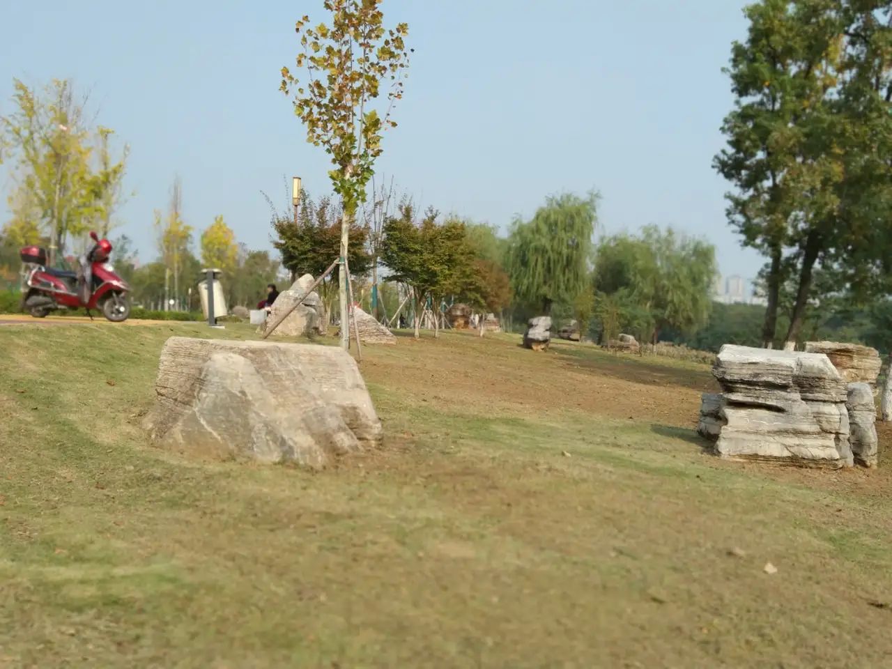 滨江公园旅行图片 1