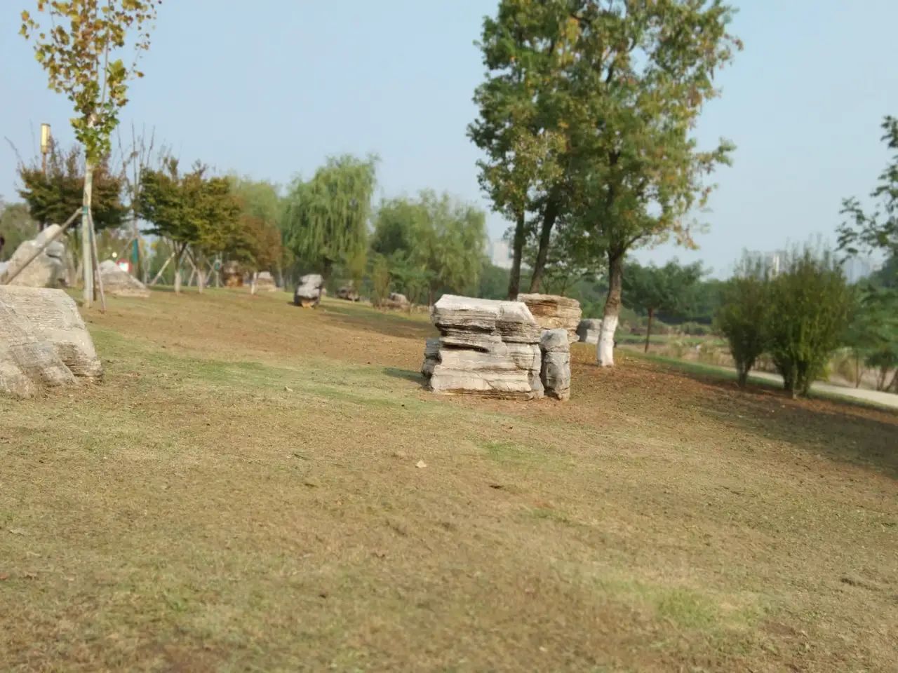 滨江公园旅行图片 3