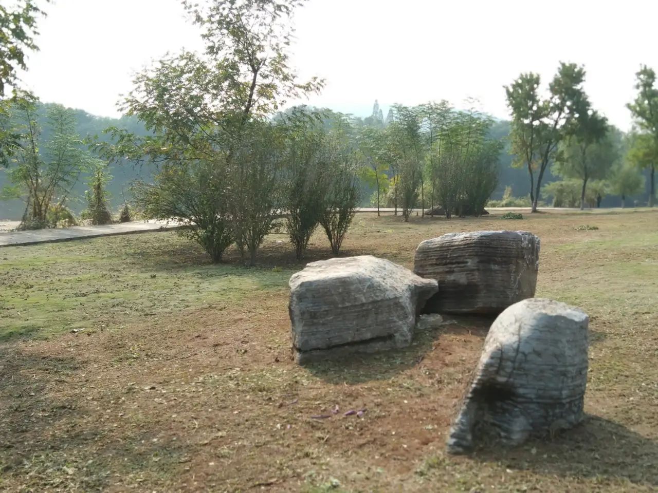 滨江公园旅行图片 2