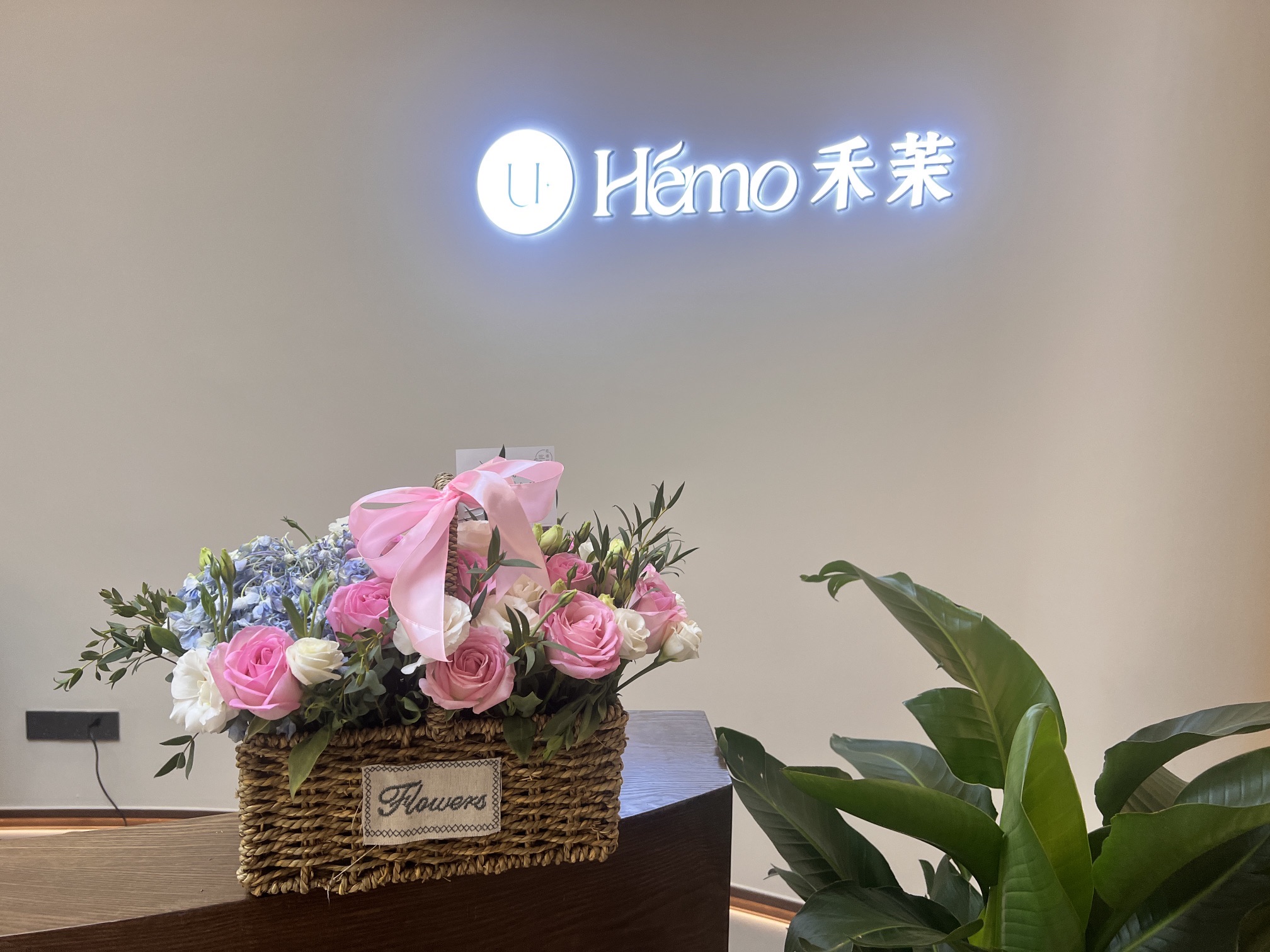 U+Hemo禾茉精准护肤MED SPA(御锦源北区店)