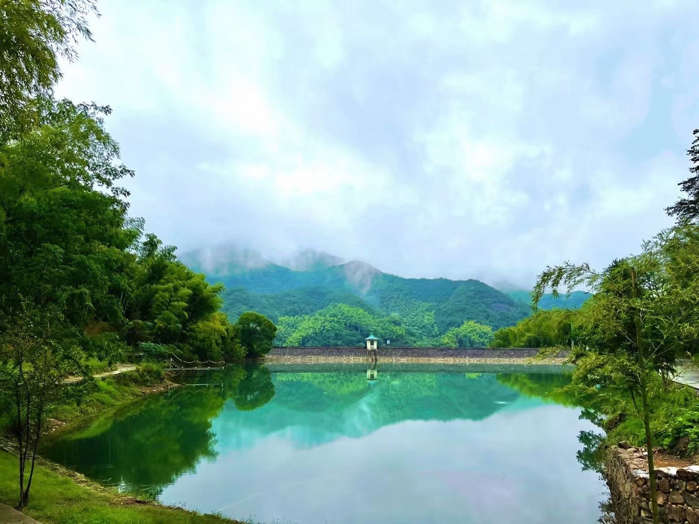 竹野公园bamboo park