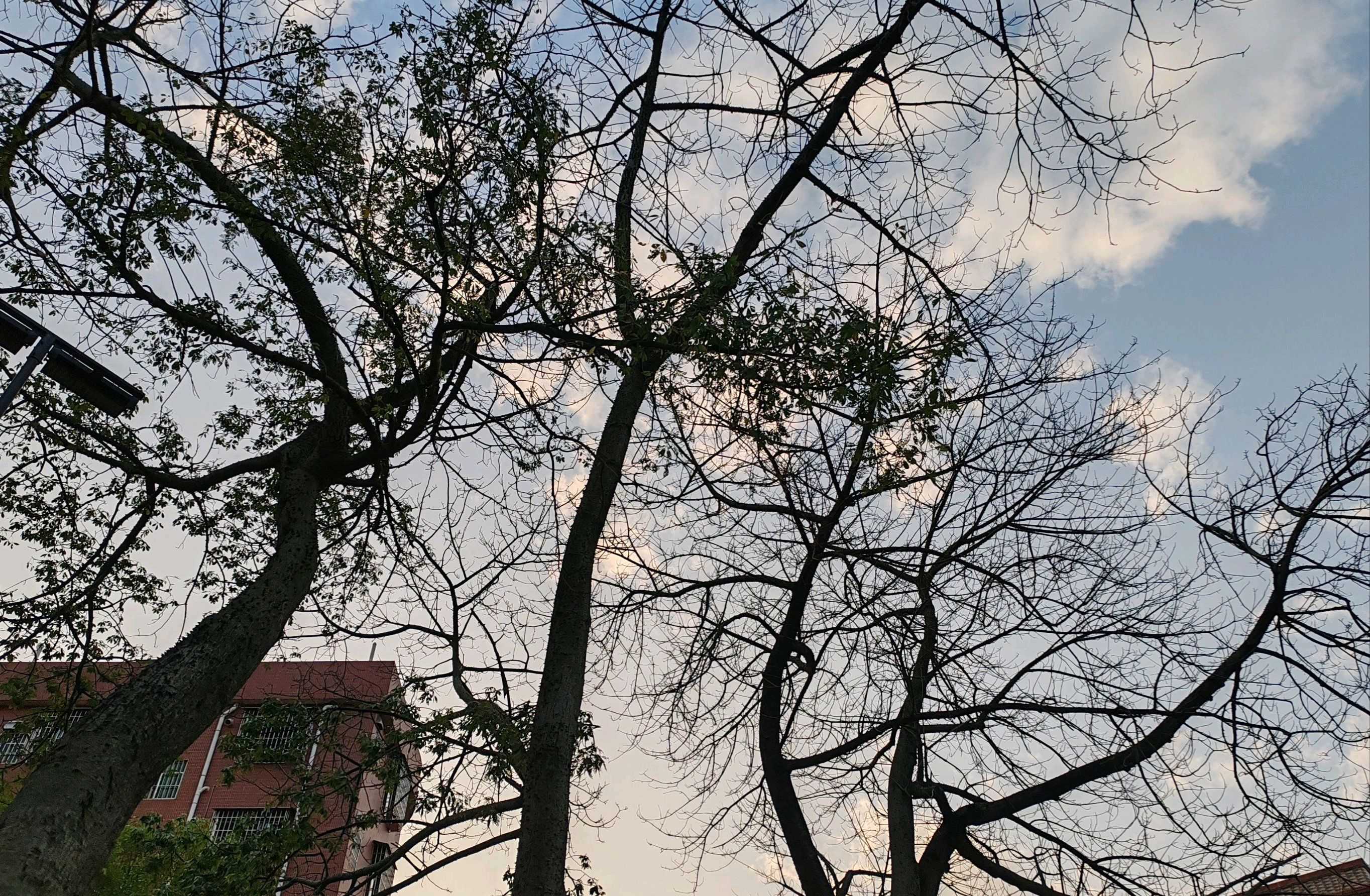 潭洲木趣森林公园旅行图片 2