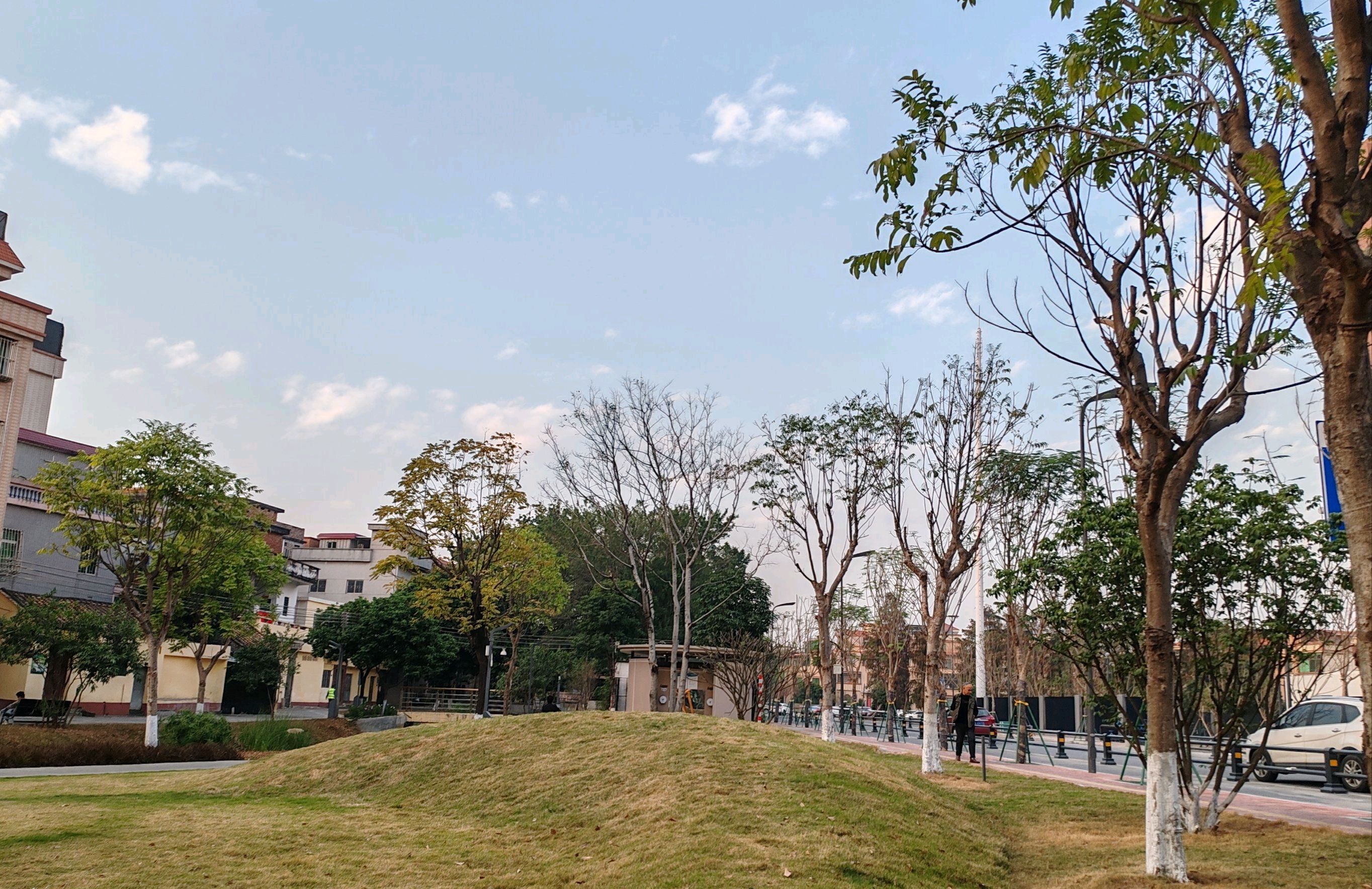 潭洲木趣森林公园旅行图片 3