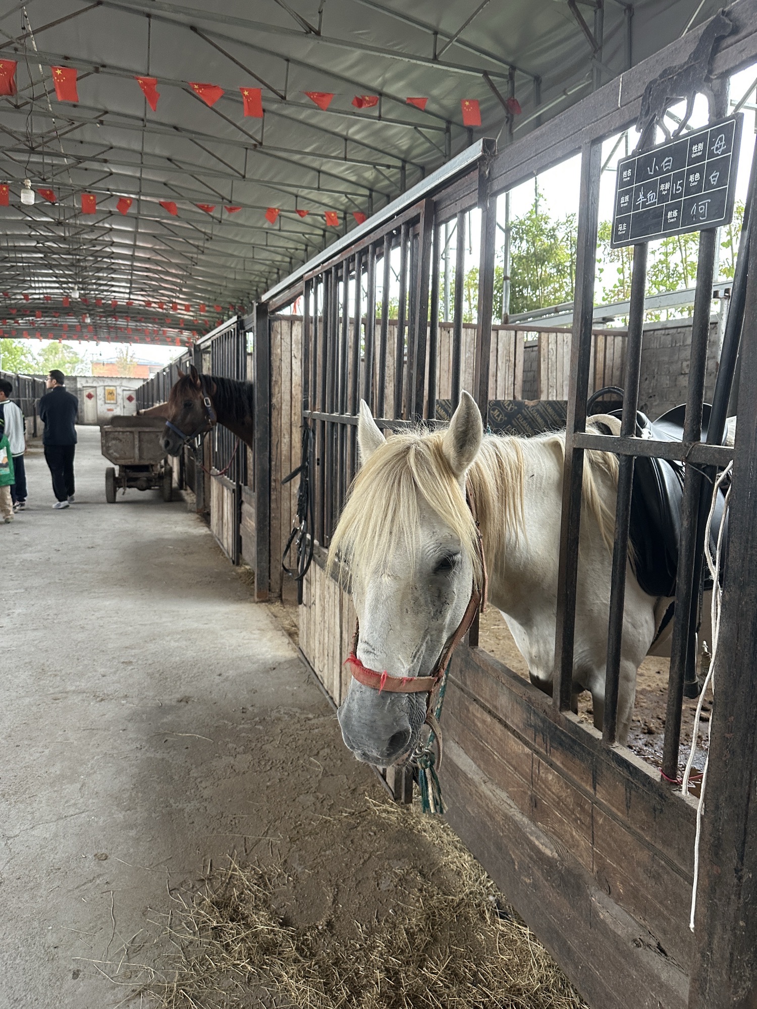 场地封面-骏骑马术