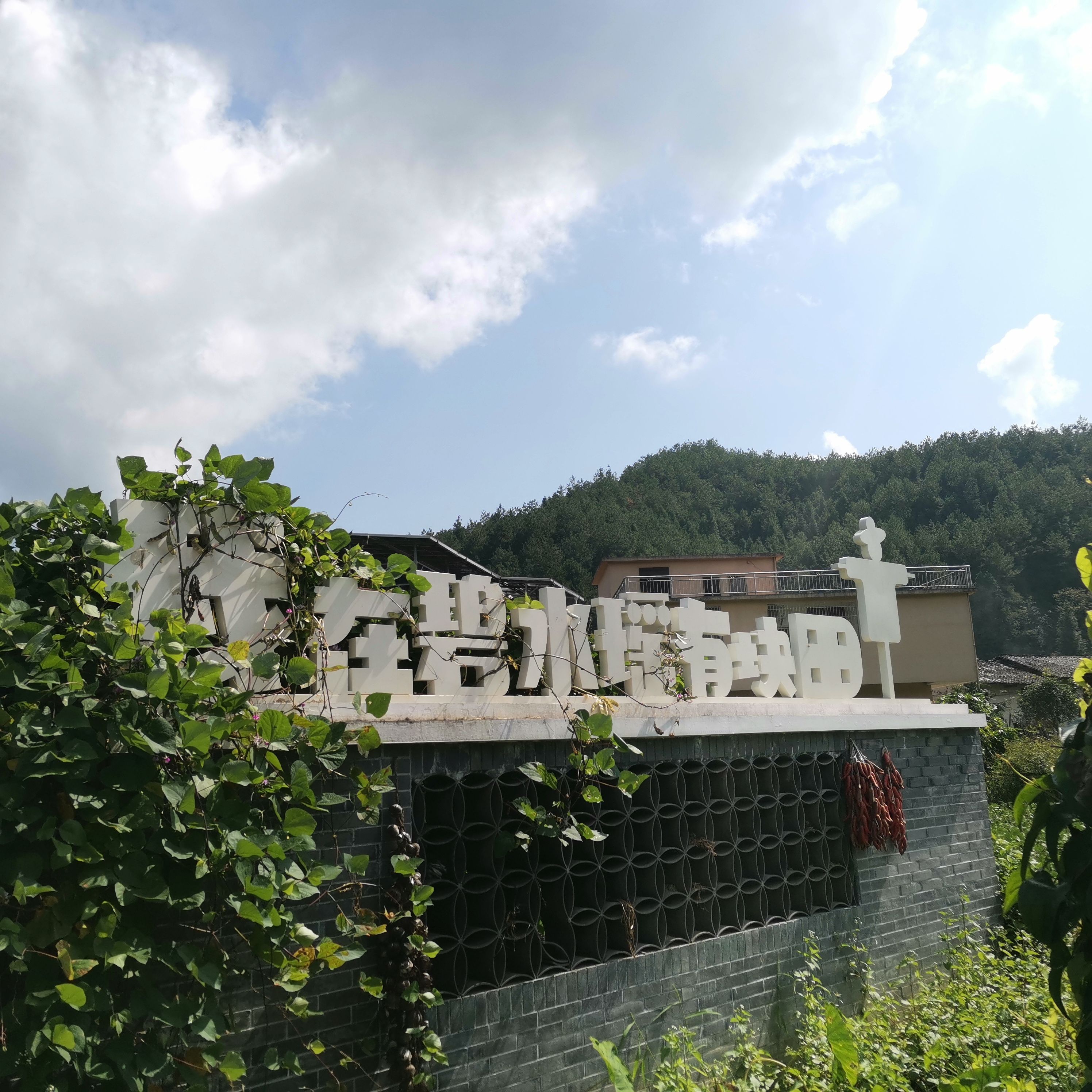 碧水瑶旅行图片 3