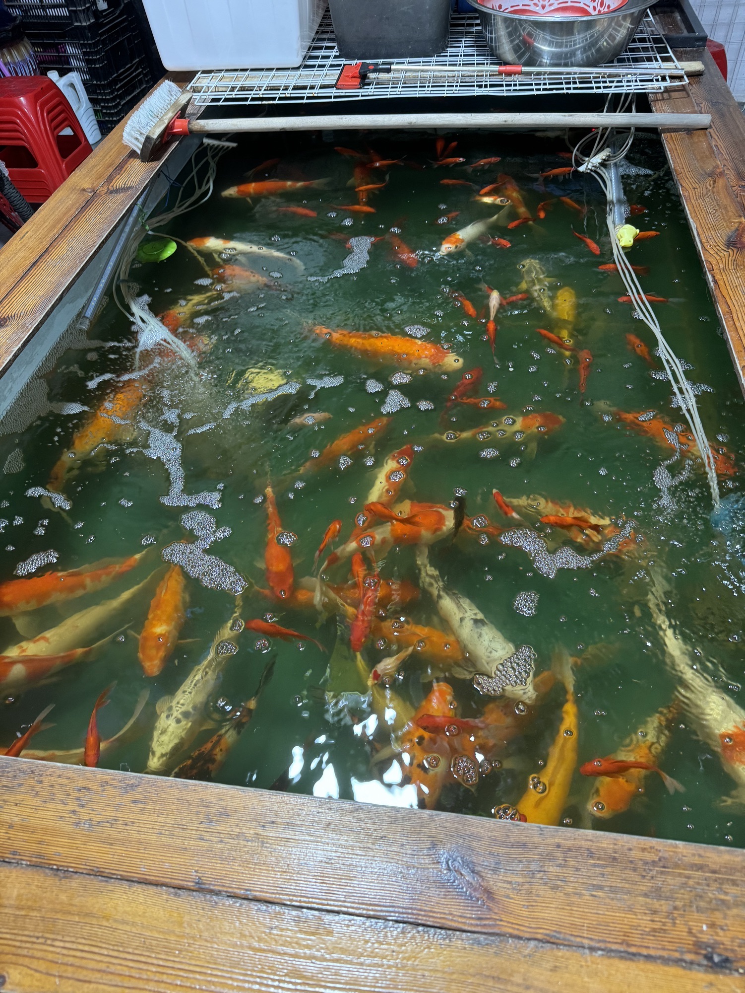 鸟鱼花坊宠物馆