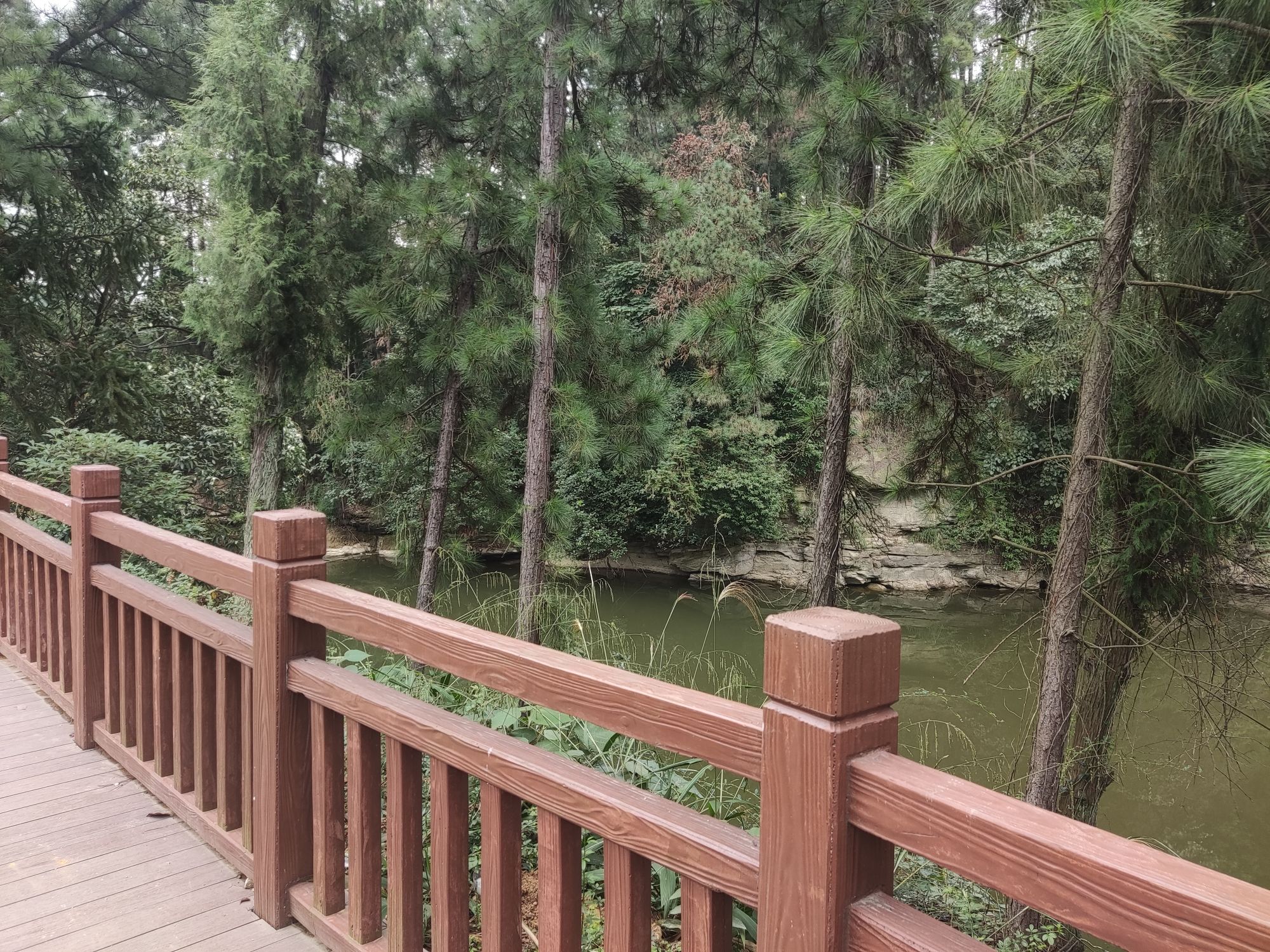 穹窿植物园旅行图片 1