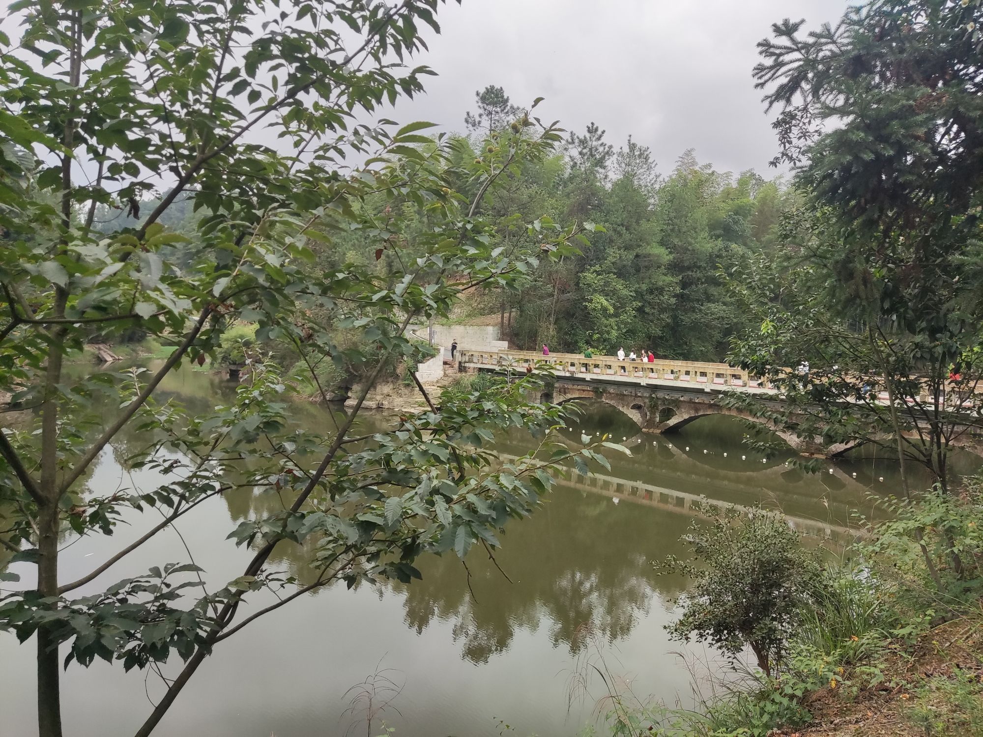 穹窿植物园旅行图片 2