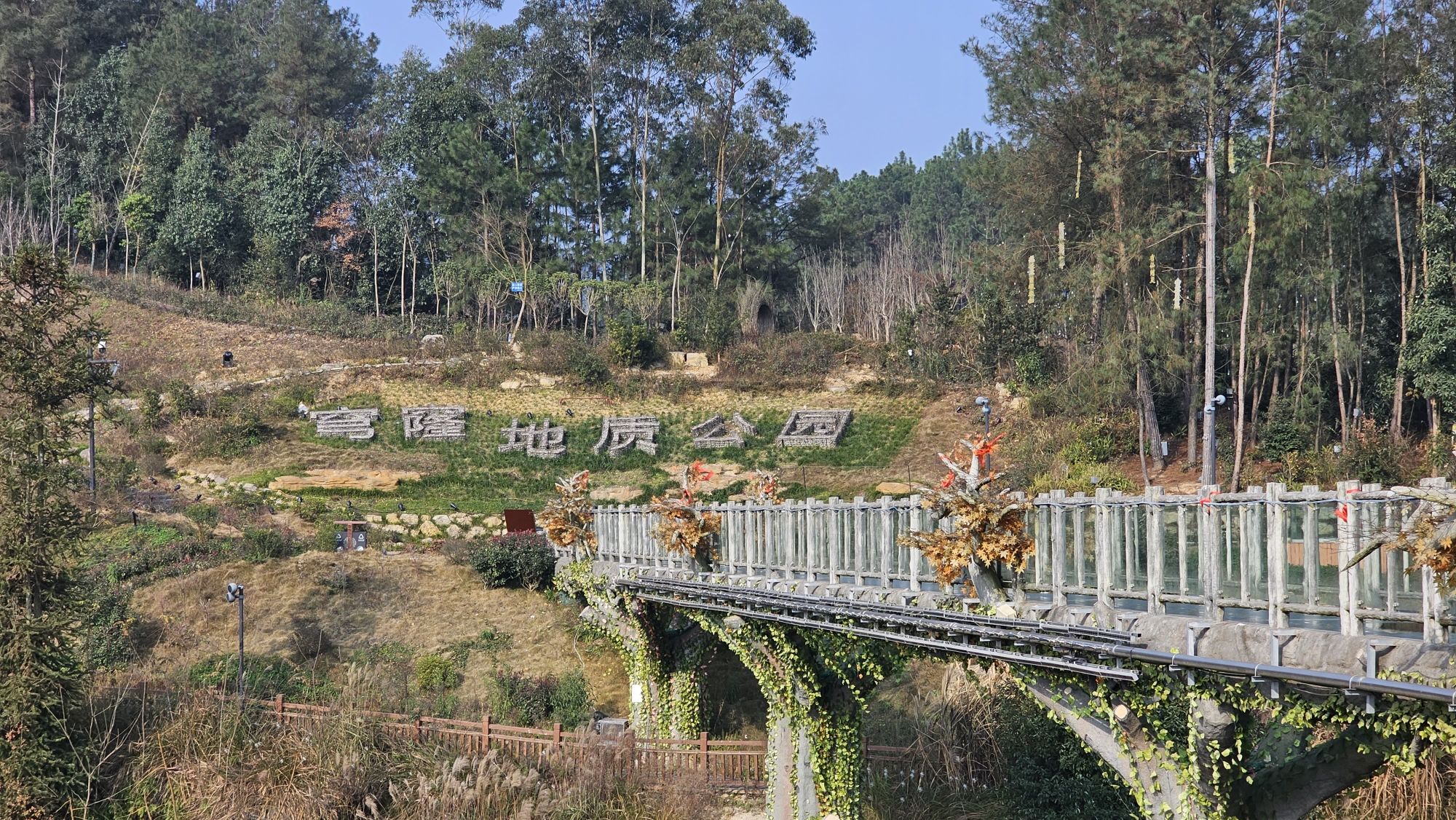 穹窿植物园旅行图片 1