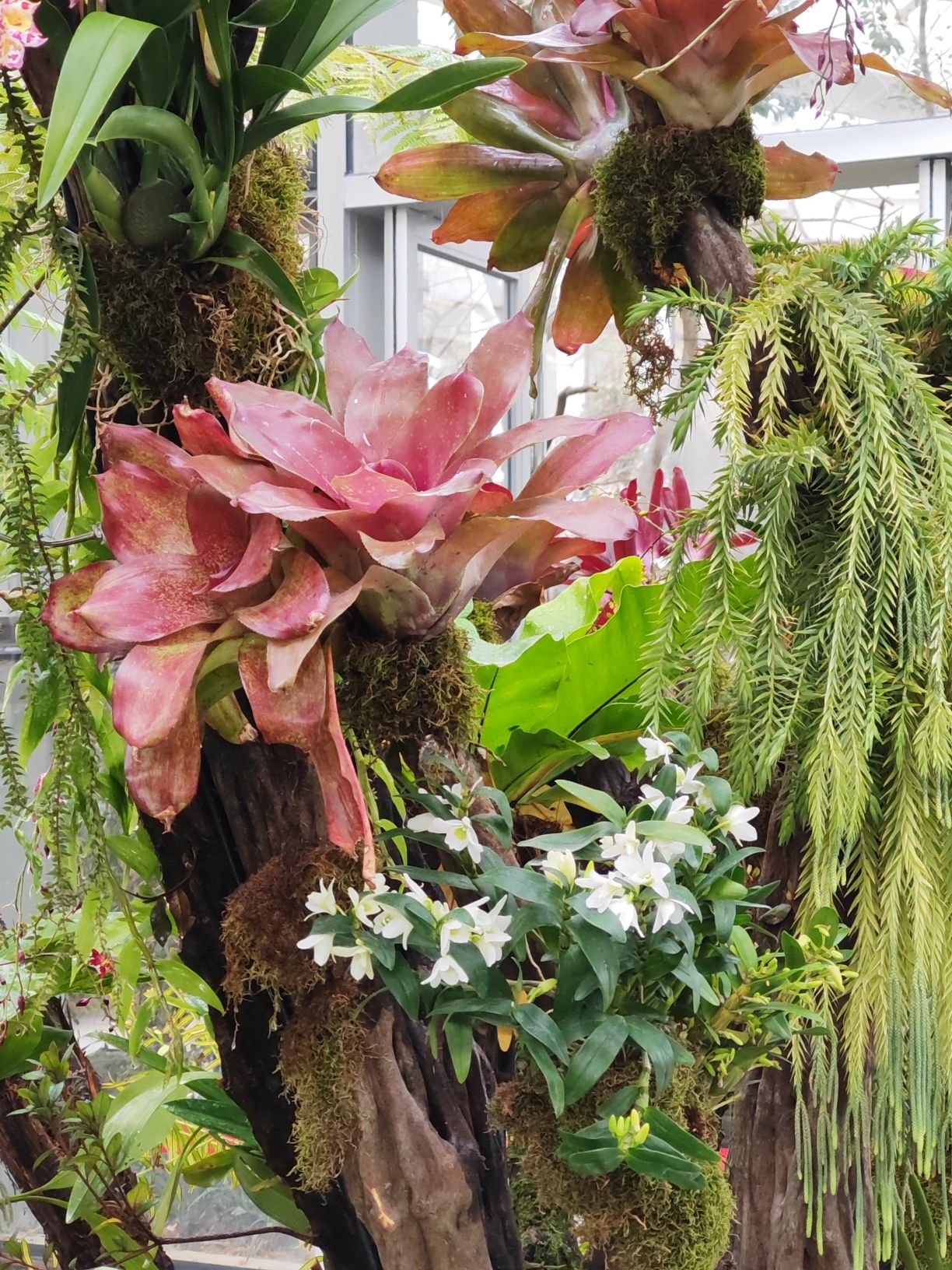 三江口植物园旅行图片 1