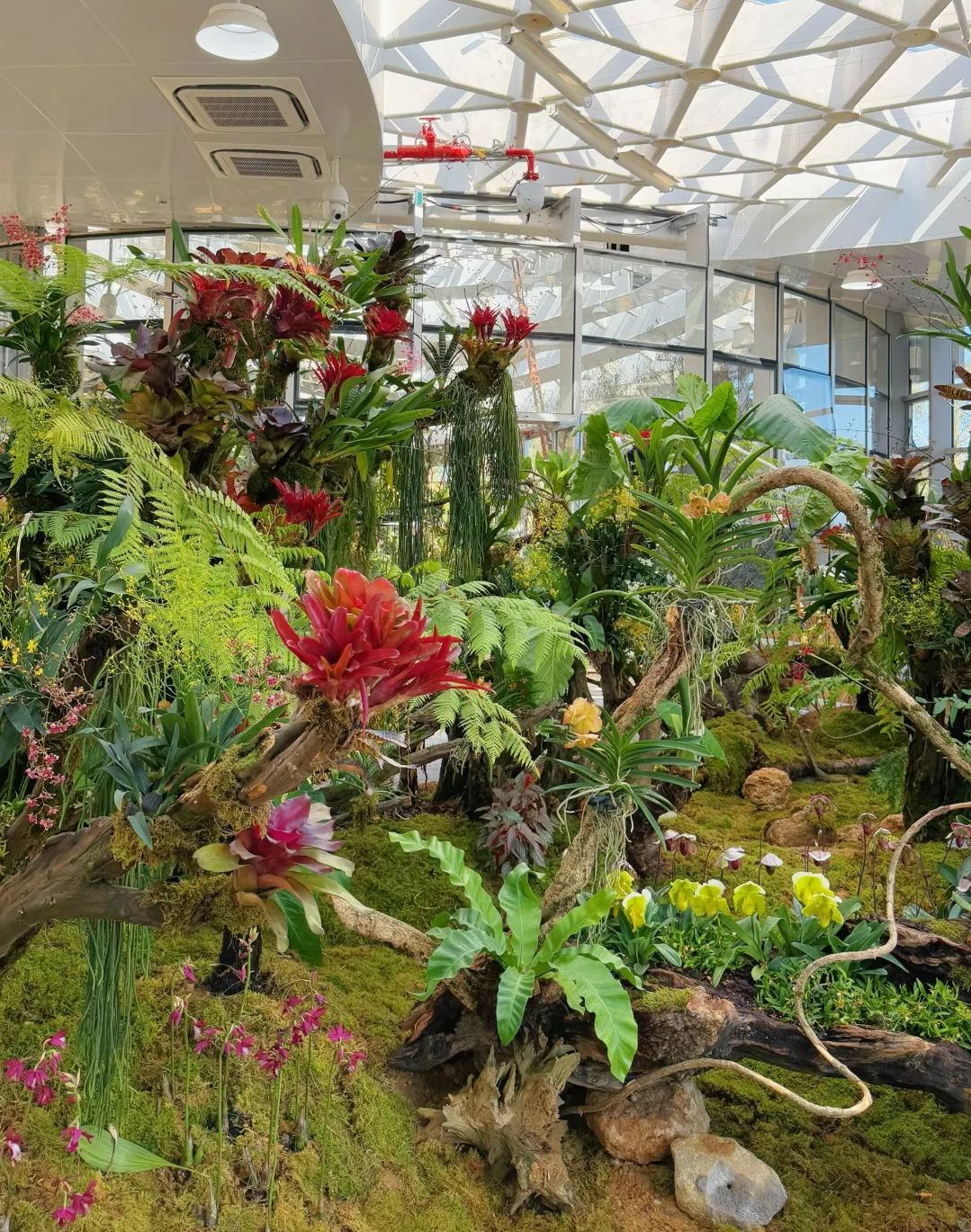 三江口植物园旅行图片 2