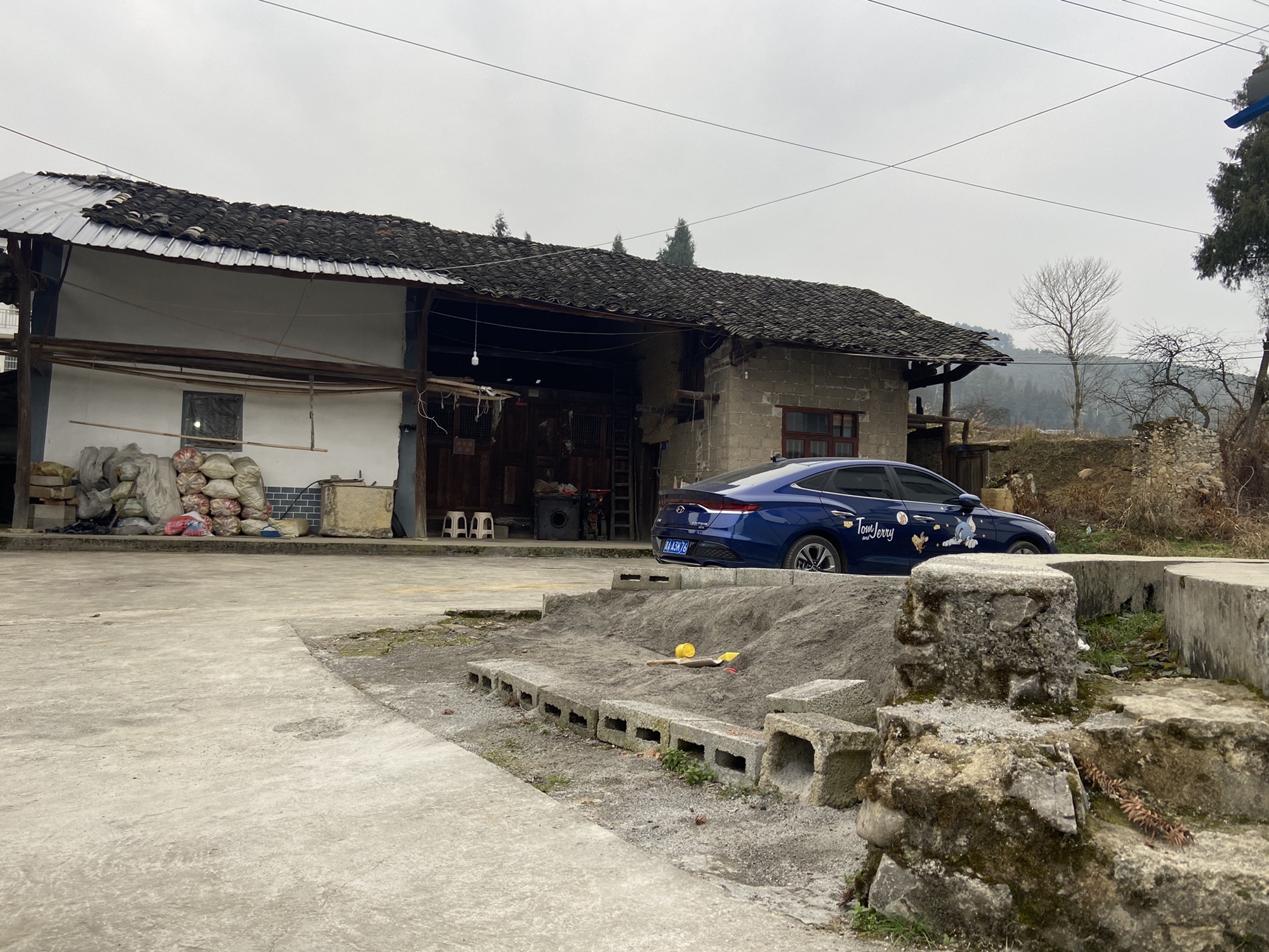 杨定国故居旅行图片 1