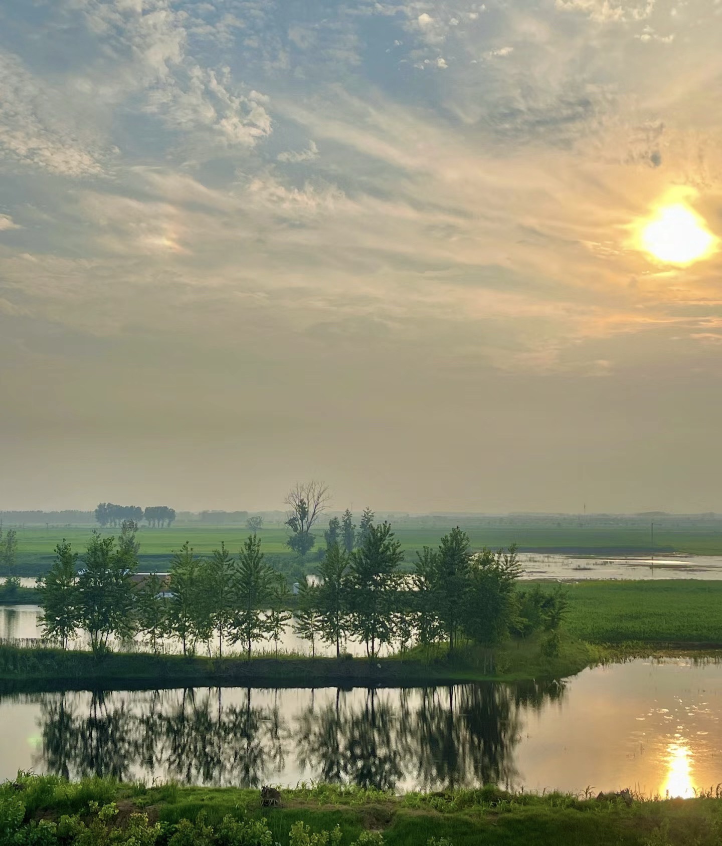 鄄城黄河法治文化广场旅行图片 2