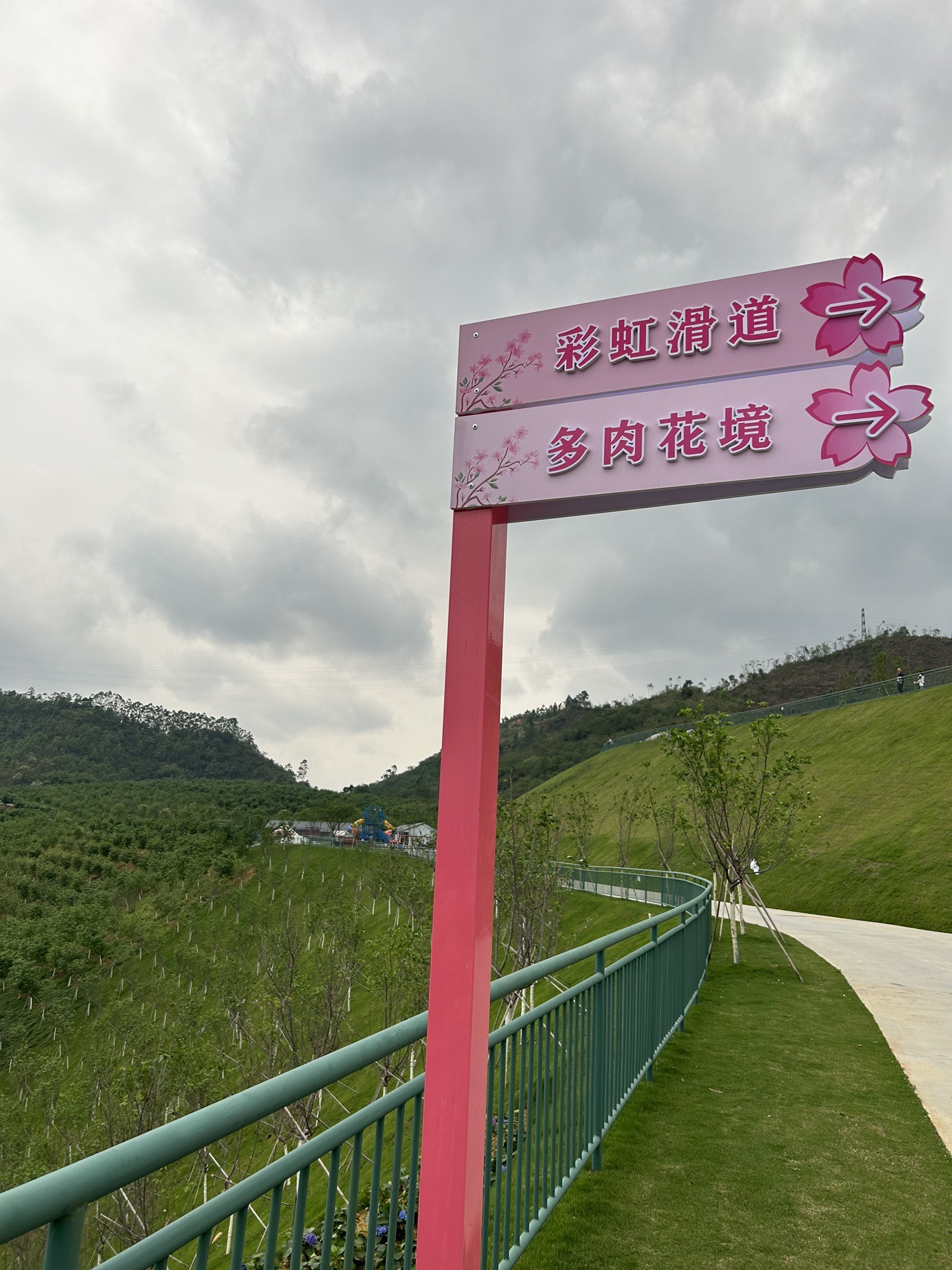云浮樱花园旅行图片 1