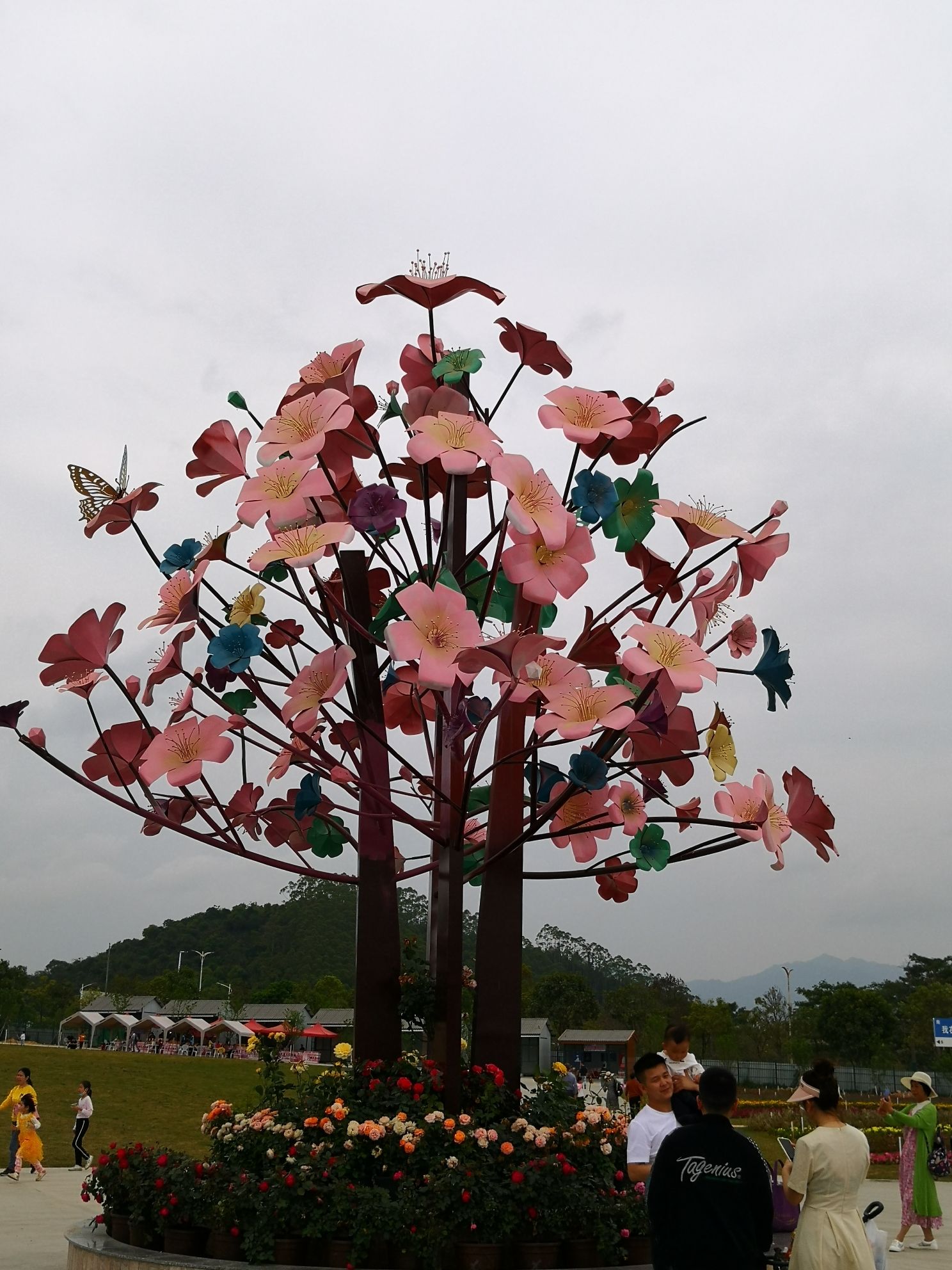 云浮樱花园旅行图片 2