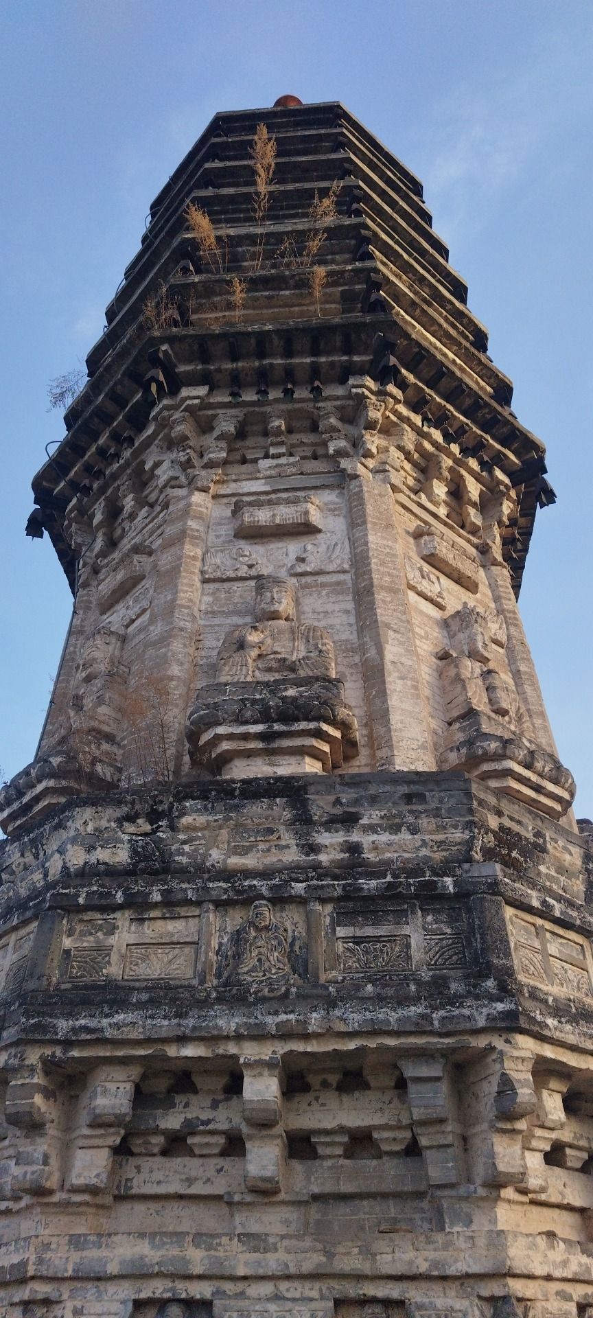 塔湾塔旅行图片 3