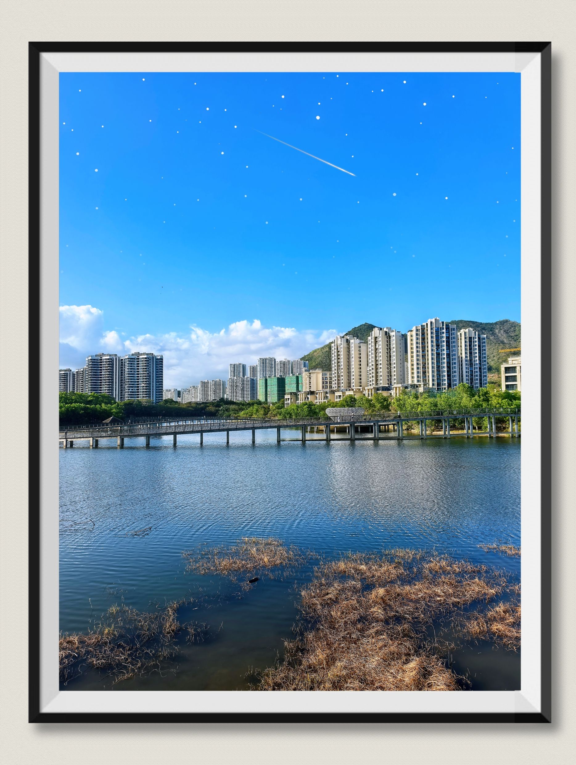 吉阳湿地公园旅行图片 1