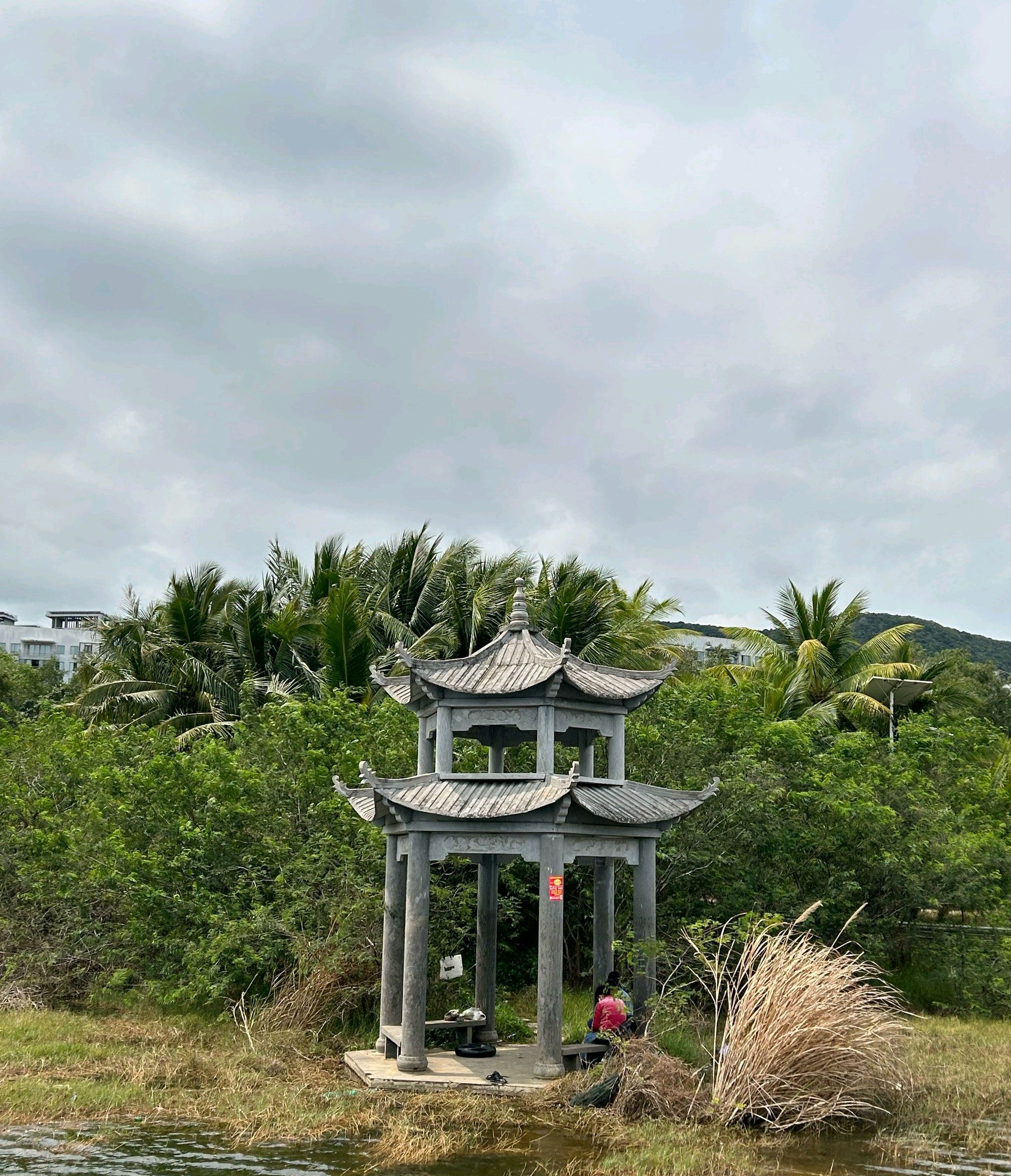 吉阳湿地公园旅行图片 3