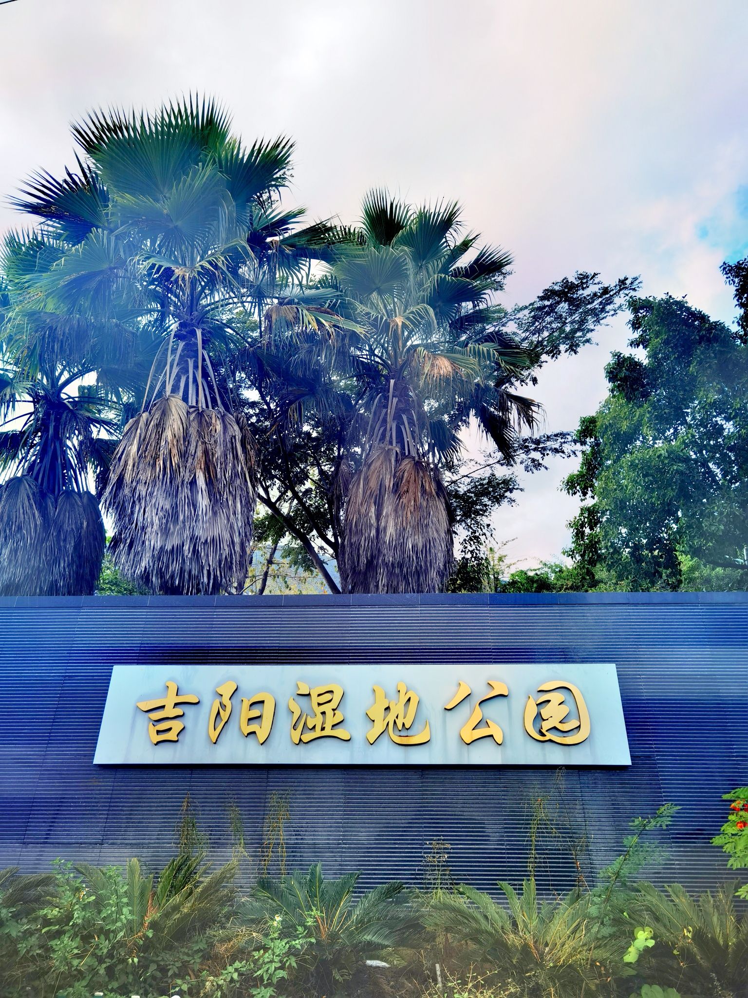吉阳湿地公园旅行图片 1