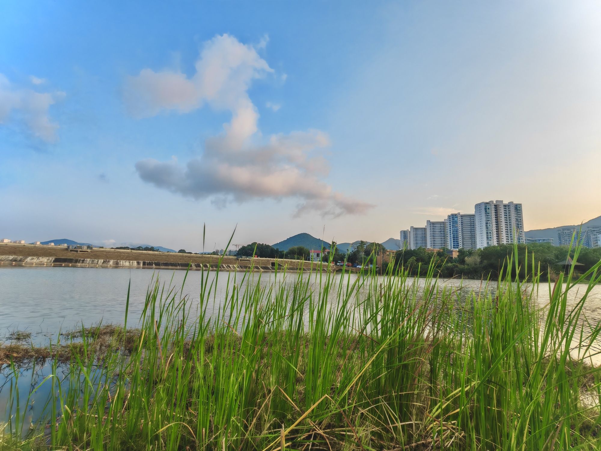 吉阳湿地公园旅行图片 1