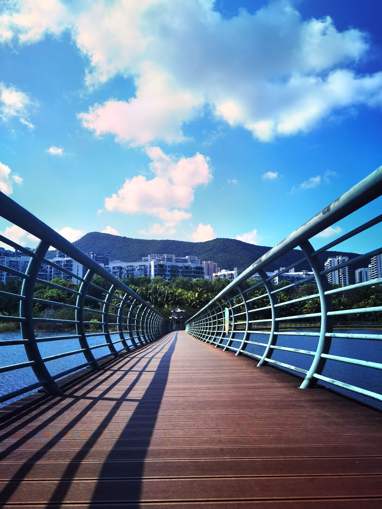 吉阳湿地公园旅行图片 3