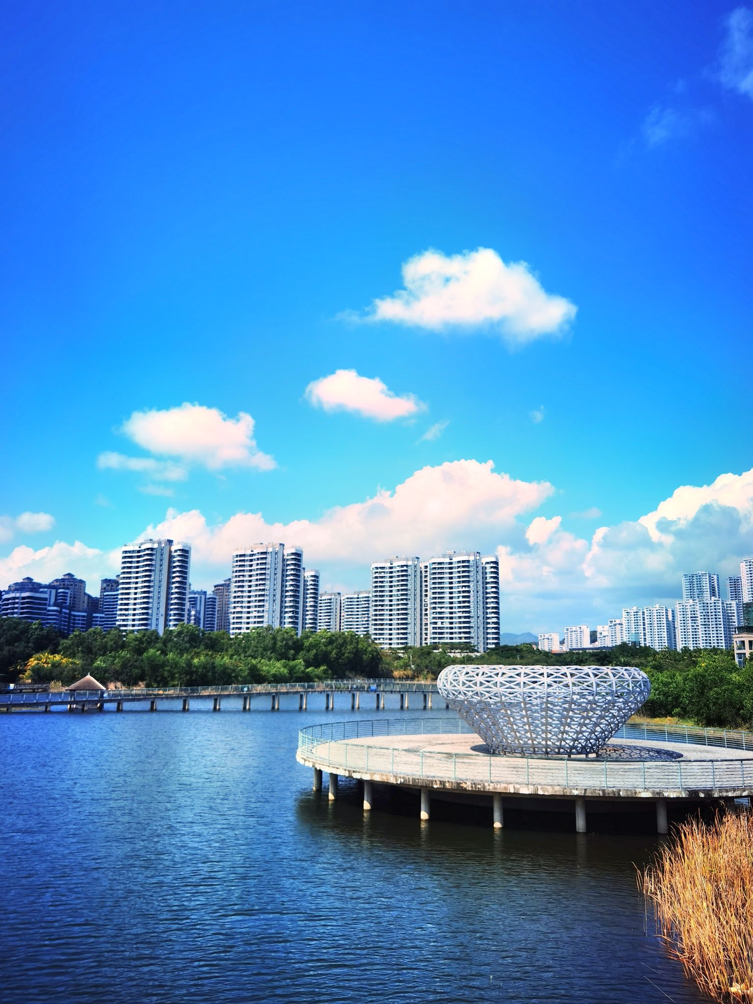 吉阳湿地公园旅行图片 2