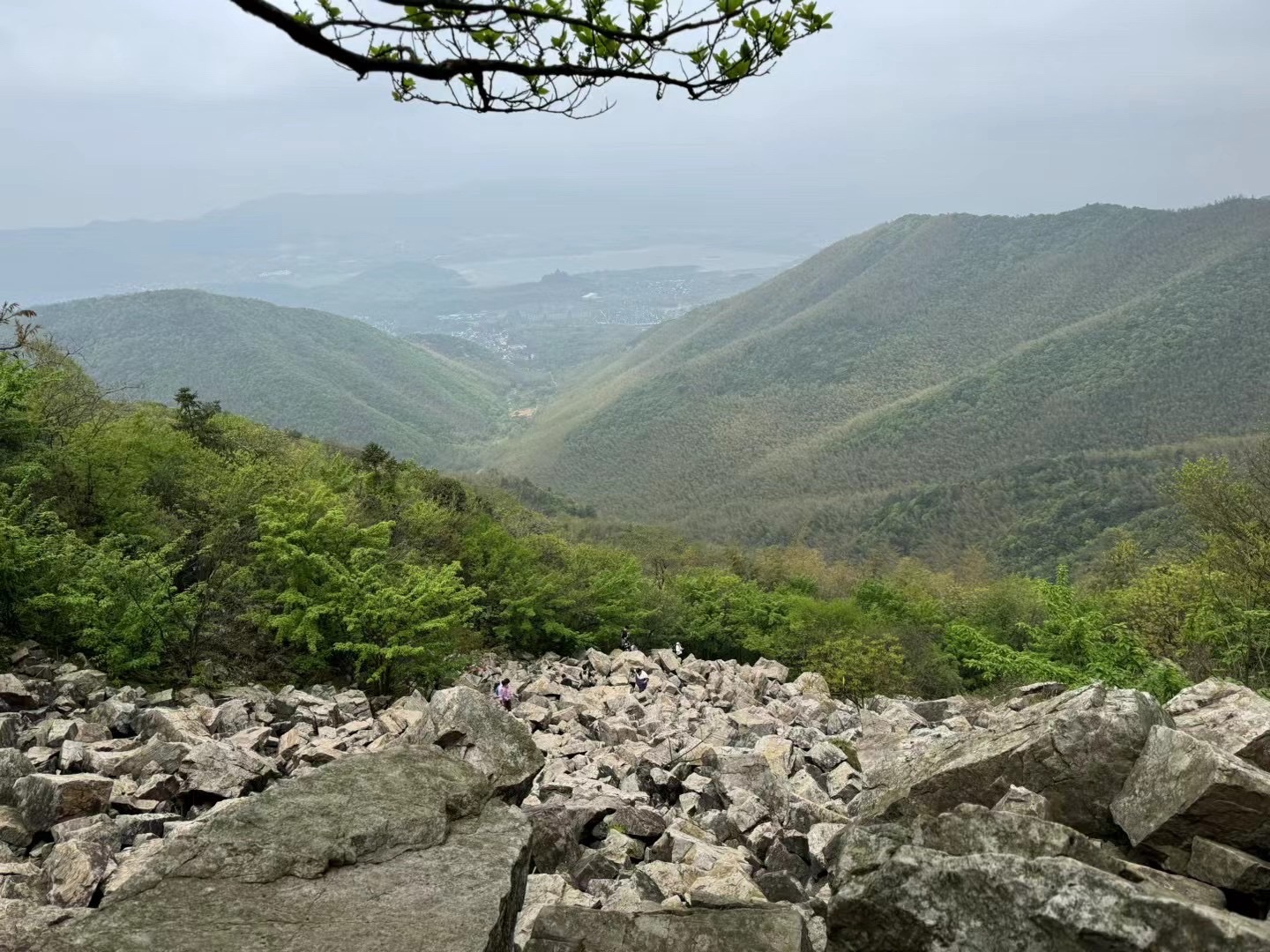 龙山茶经古道旅行图片 1