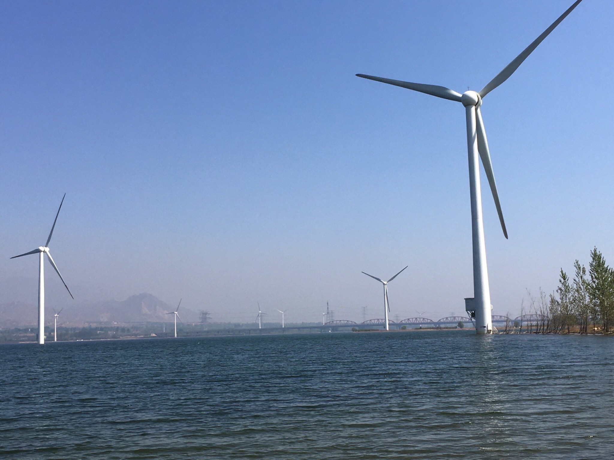印象上谷海棠公园旅行图片 1