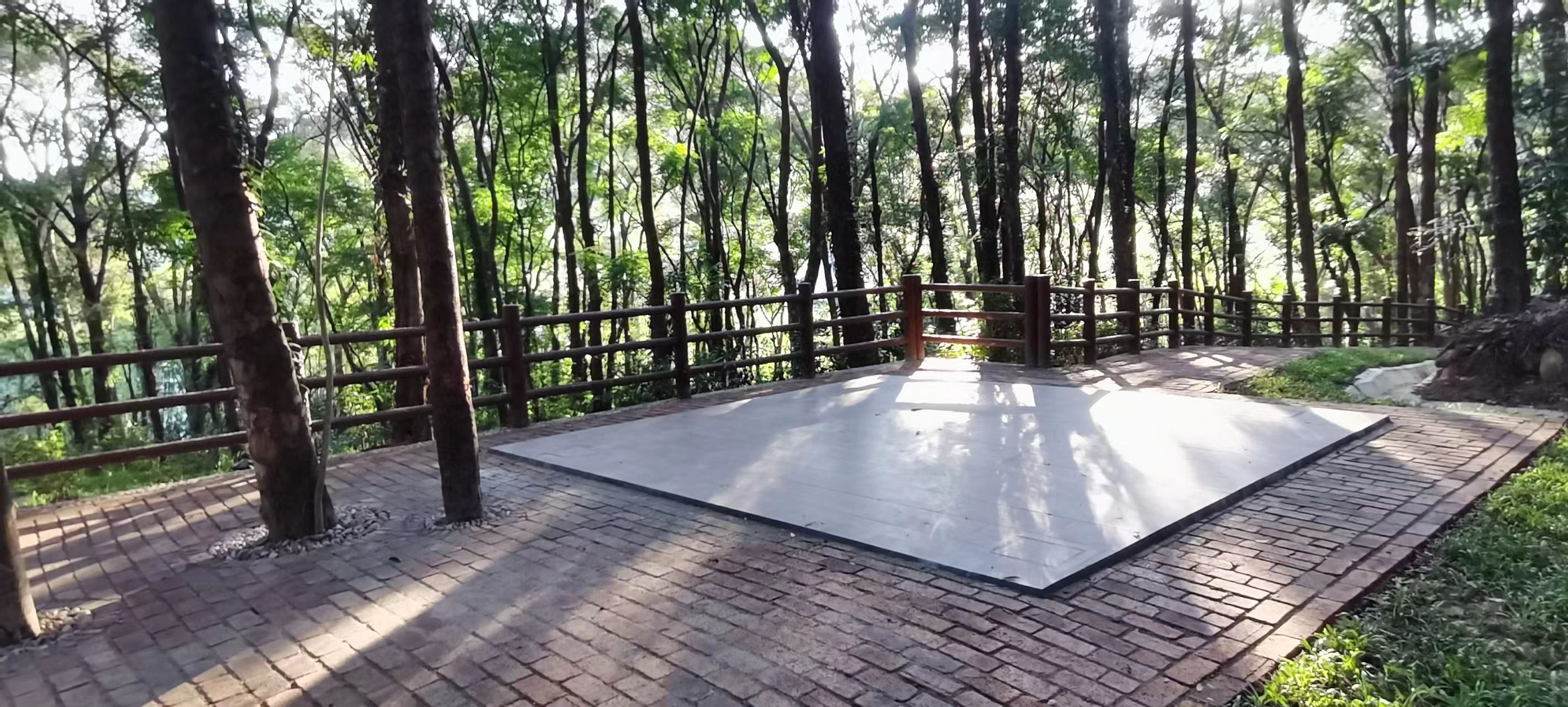 蕉坑古树公园旅行图片 2