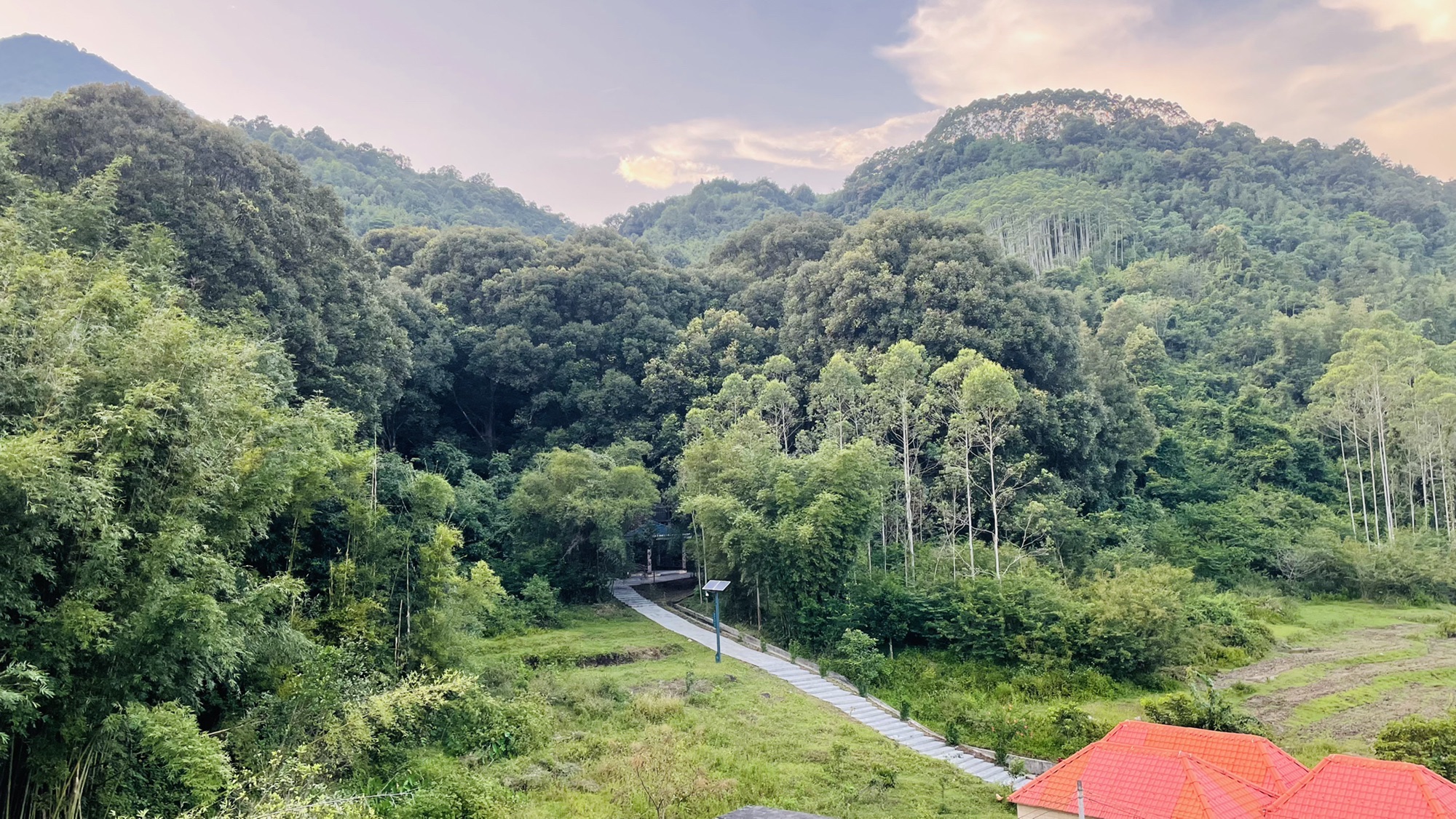 古城村红锥古树公园旅行图片 3