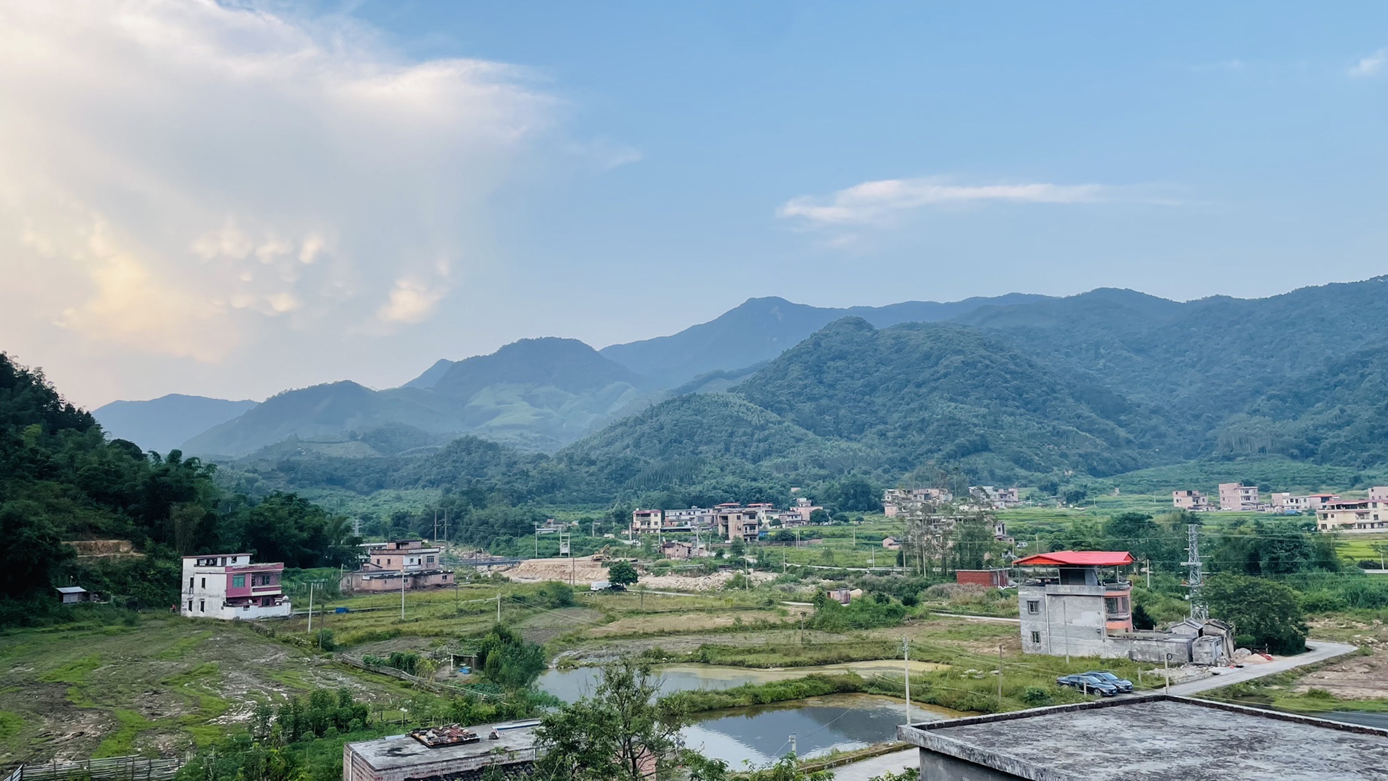 古城村红锥古树公园旅行图片 2