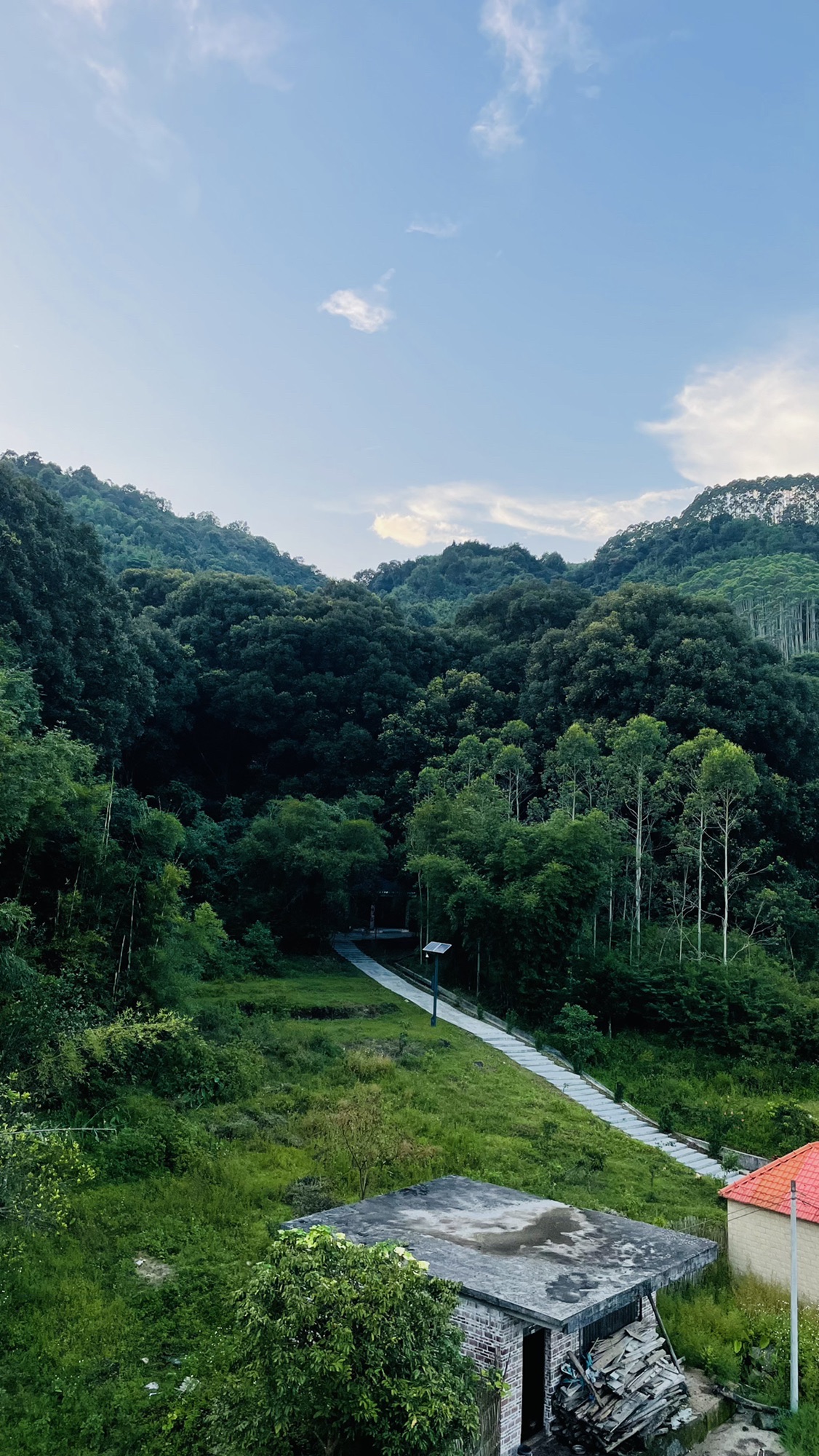 古城村红锥古树公园旅行图片 1