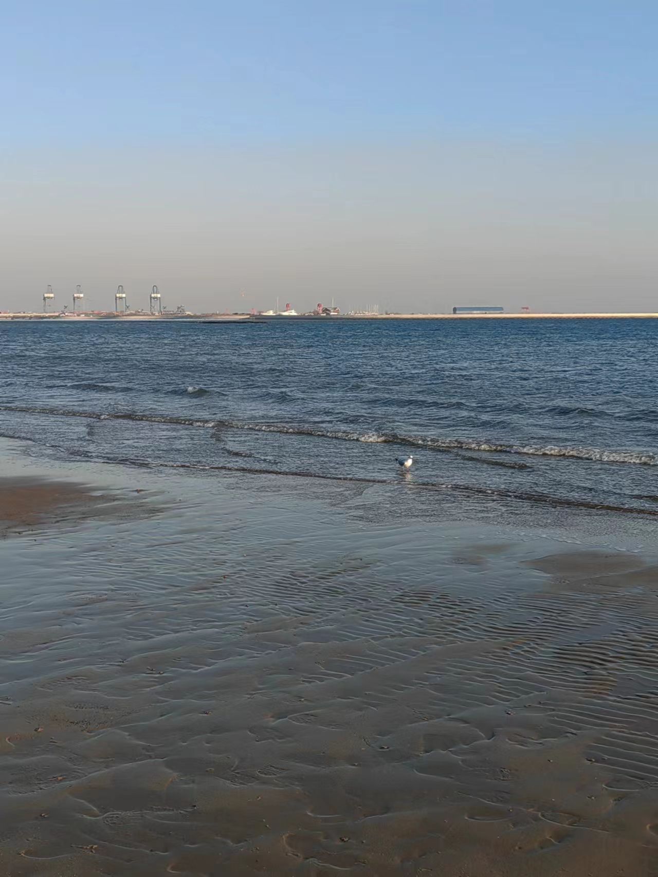 金梦海湾浴场旅行图片 1