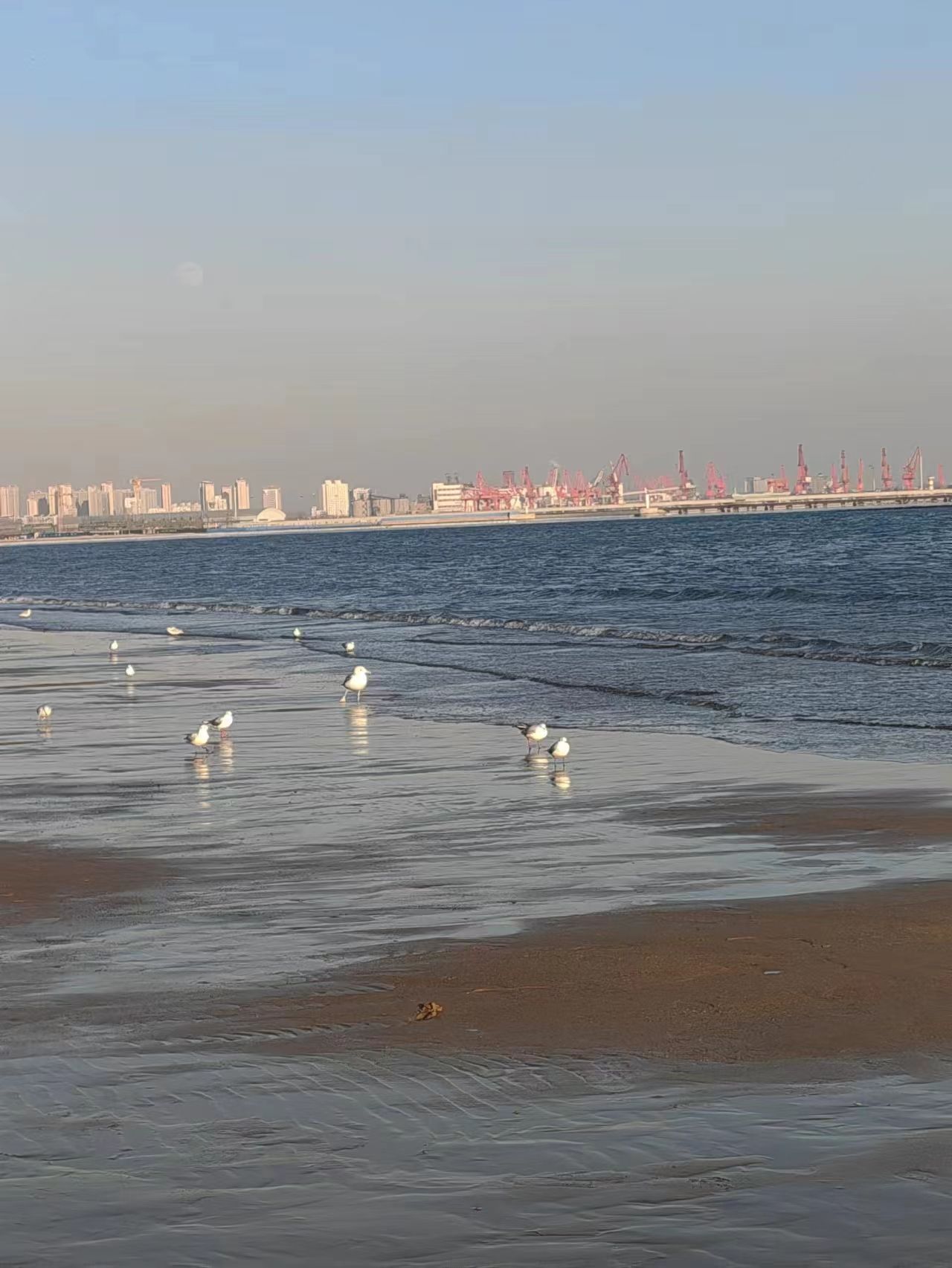 金梦海湾浴场旅行图片 2