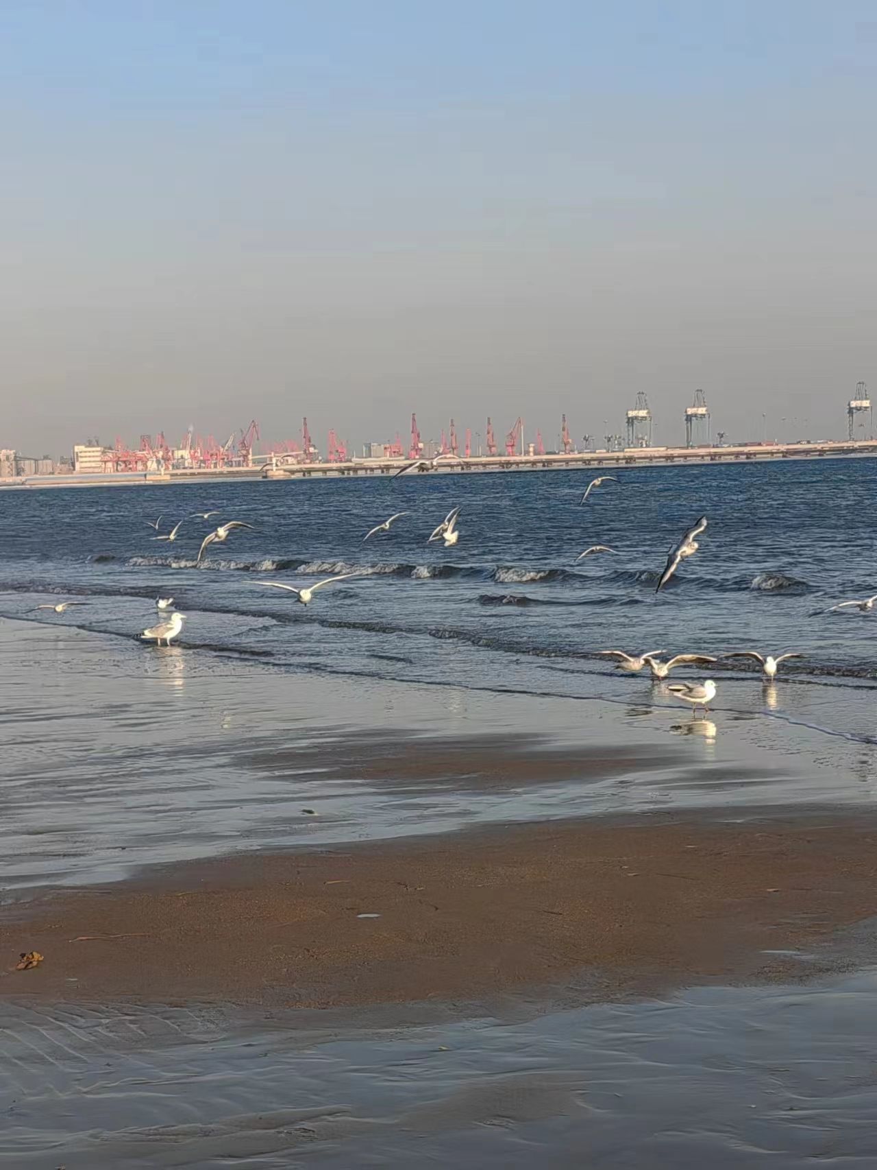 金梦海湾浴场旅行图片 3