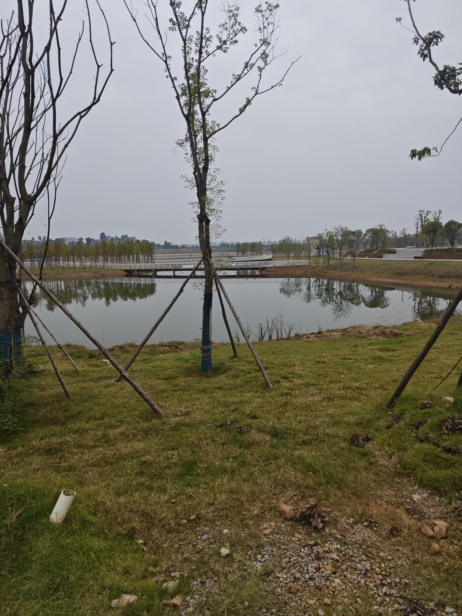 钰栖湖公园旅行图片 3