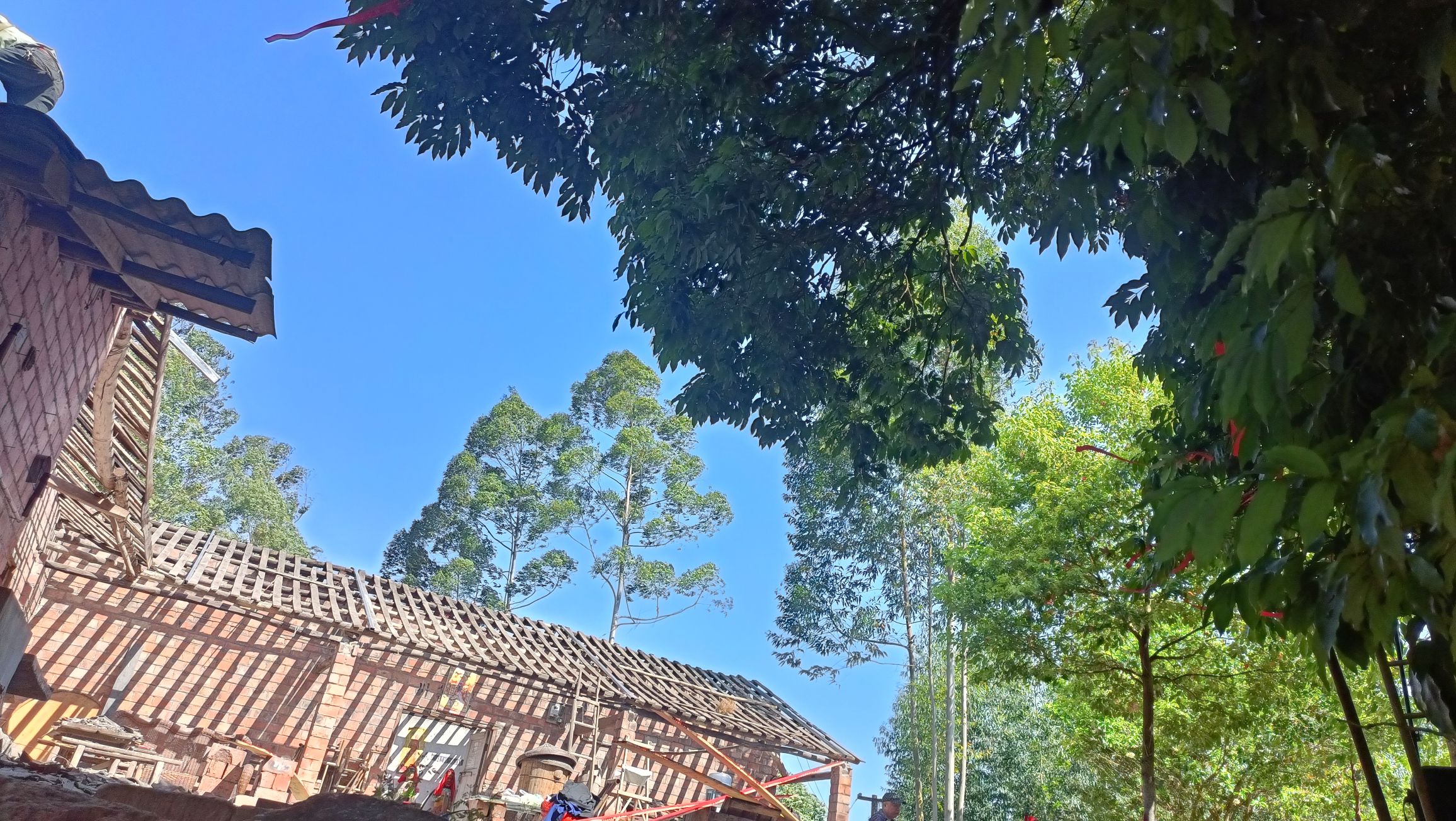 道源阁旅行图片 2