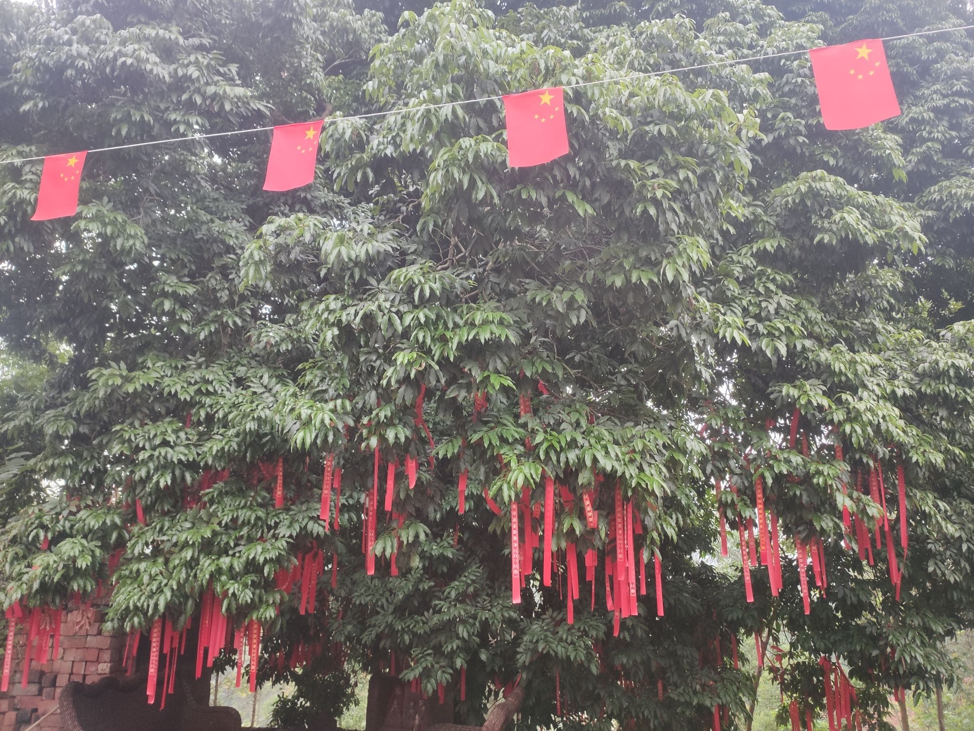 道源阁旅行图片 1