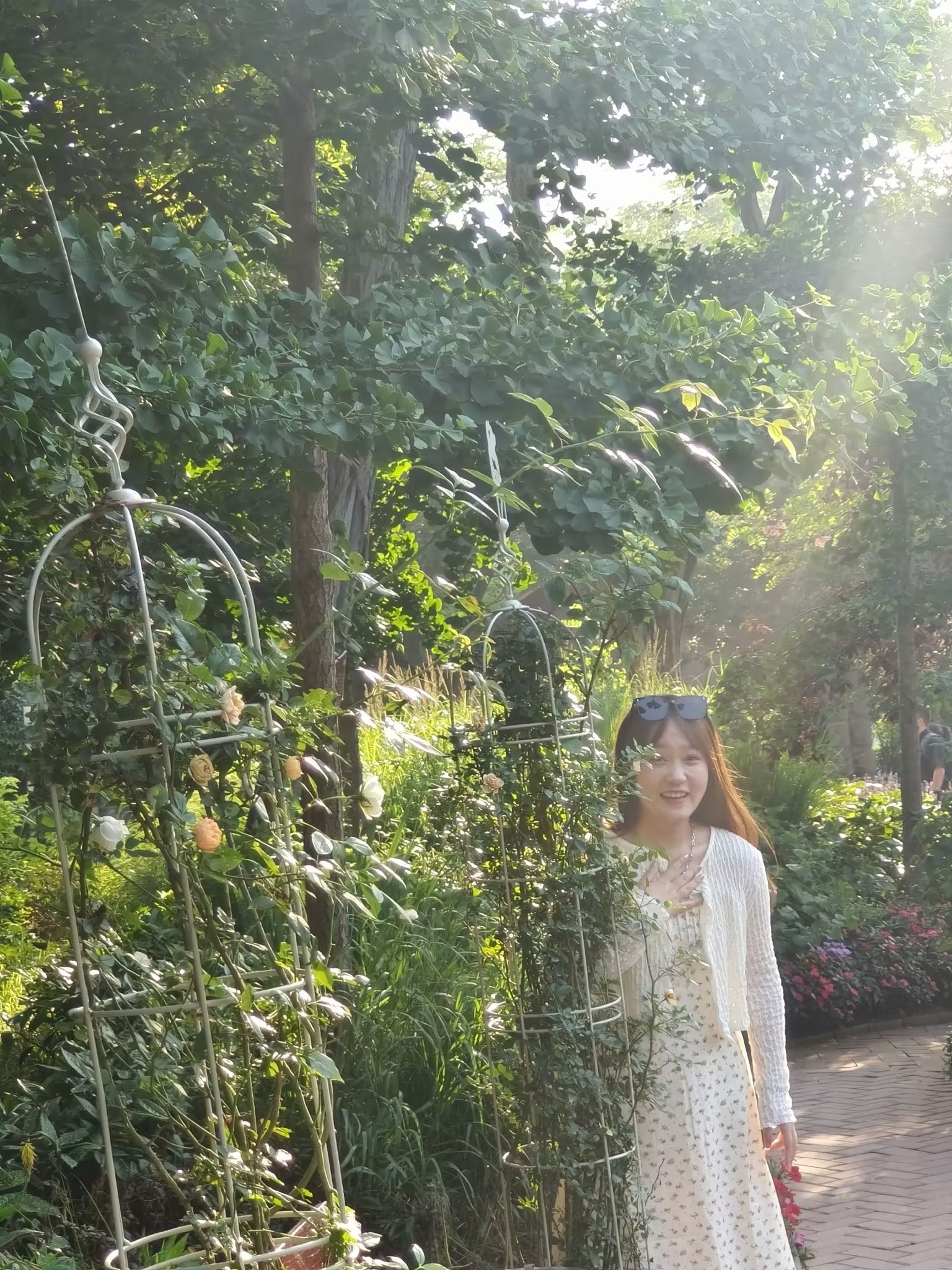 七号花园旅行图片 3