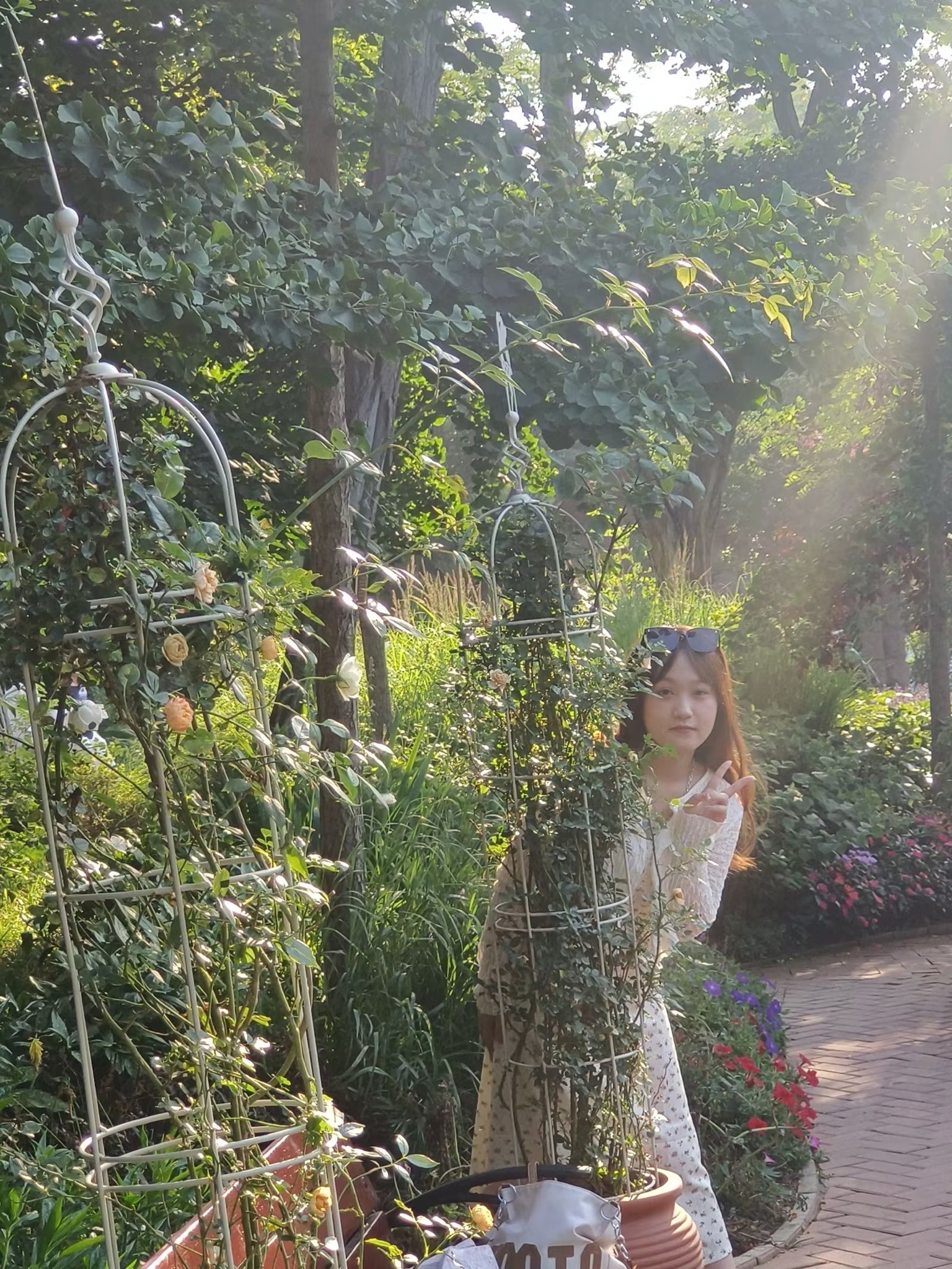 七号花园旅行图片 2