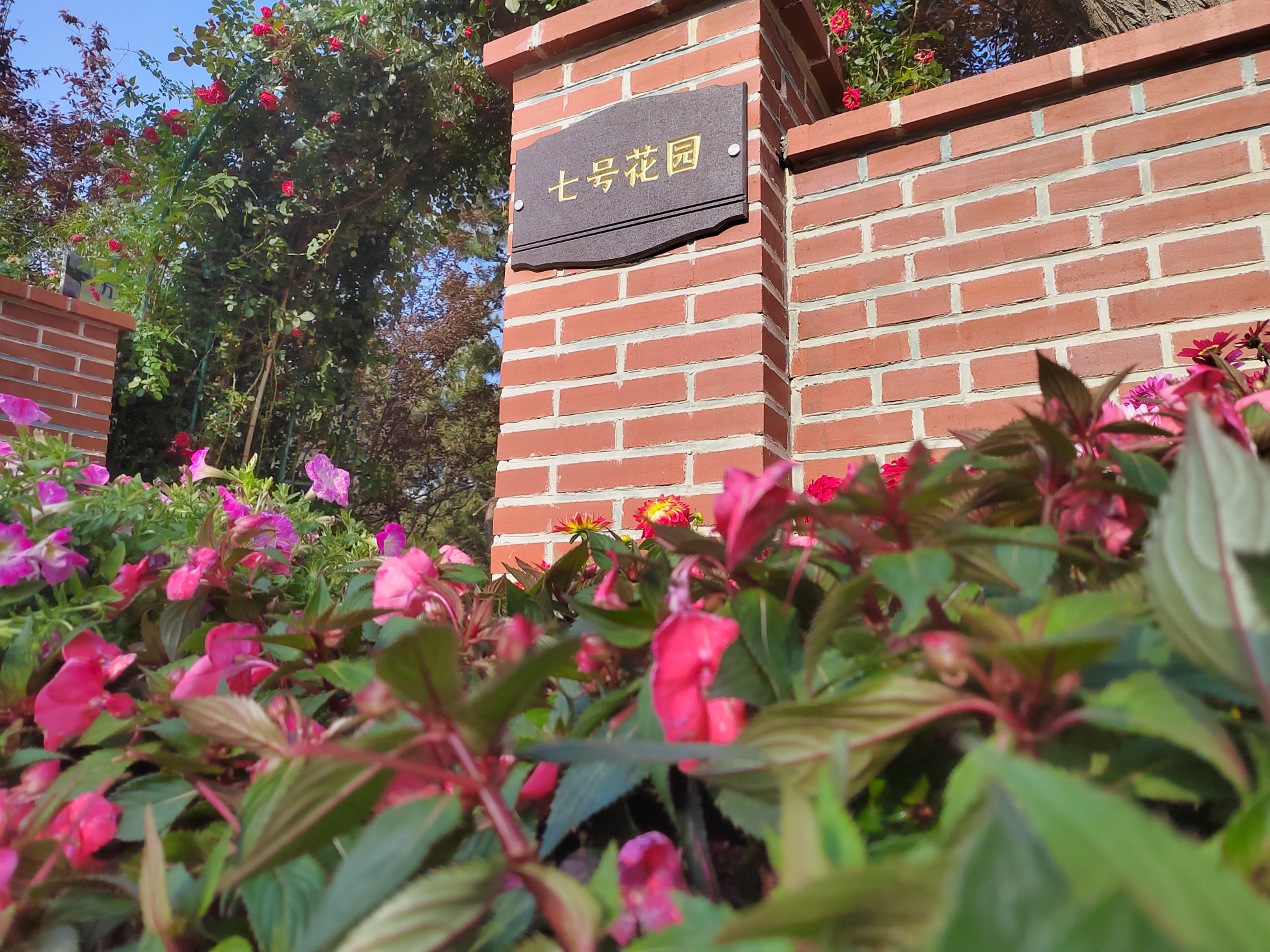 七号花园旅行图片 3