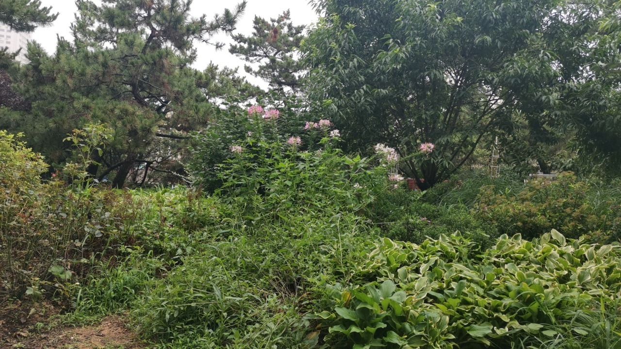 七号花园旅行图片 1