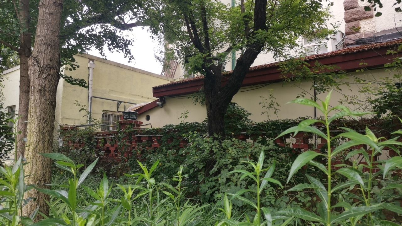 七号花园旅行图片 2