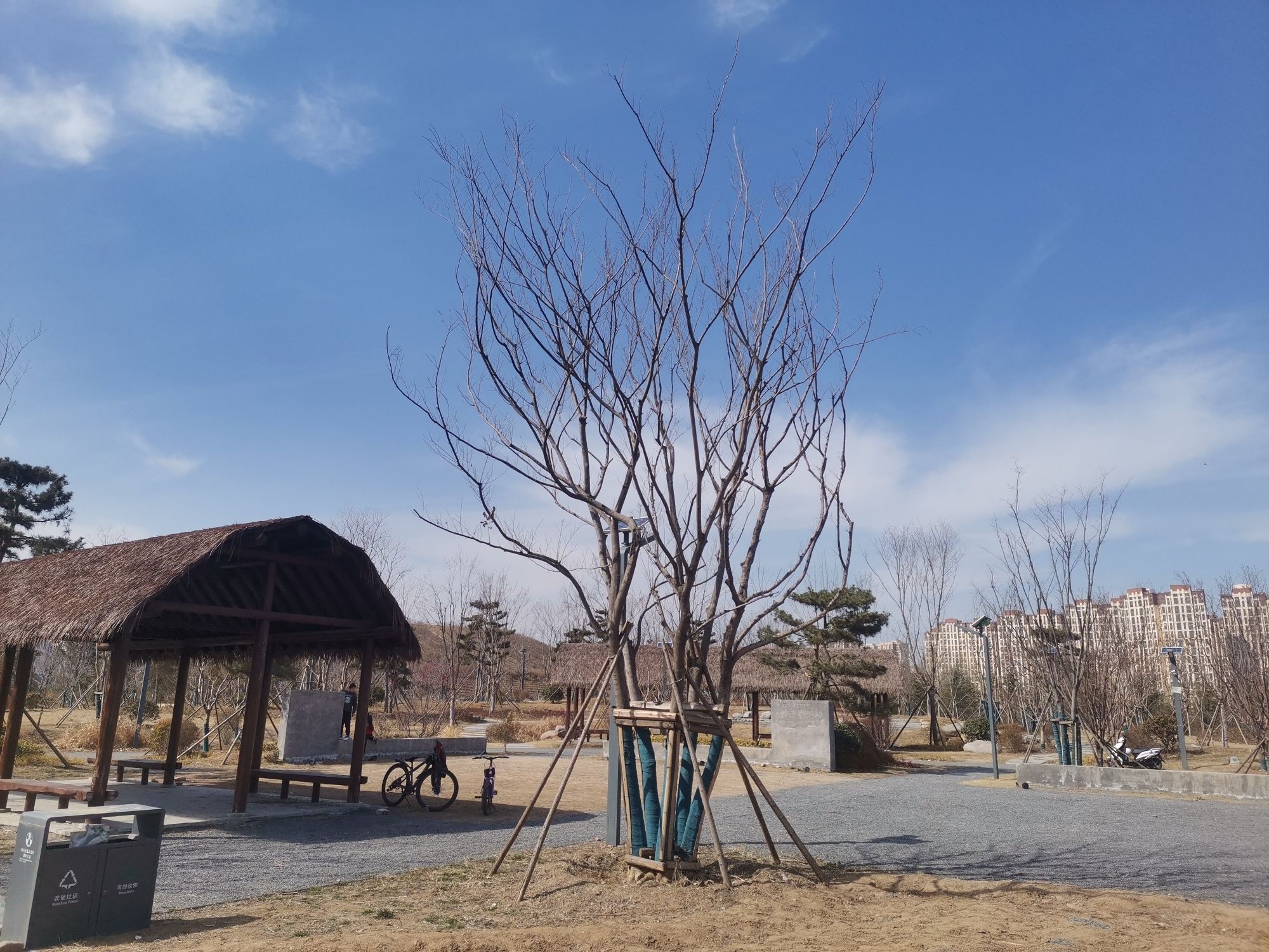 站马屯龙山文化遗址公园旅行图片 2