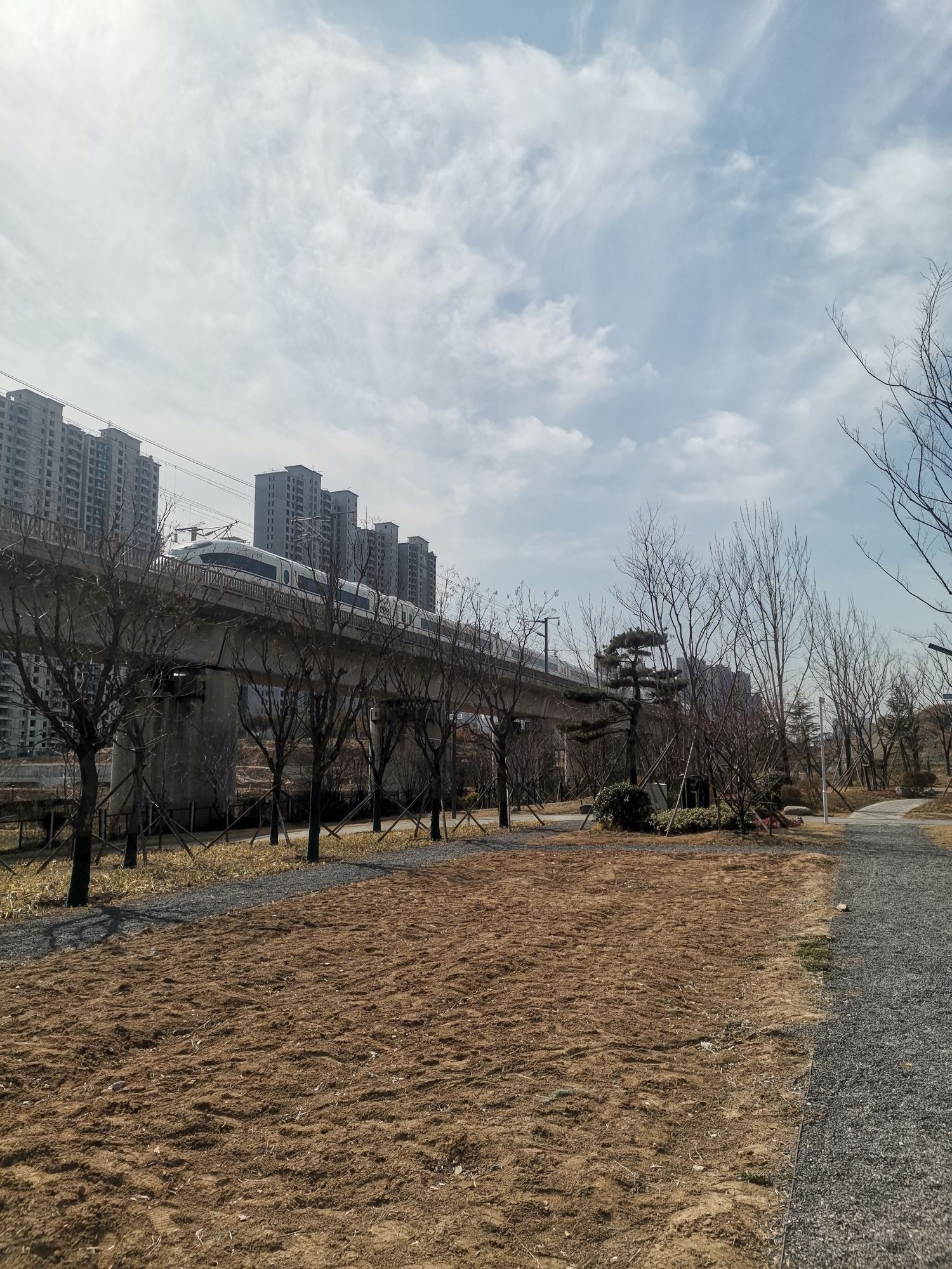站马屯龙山文化遗址公园旅行图片 1