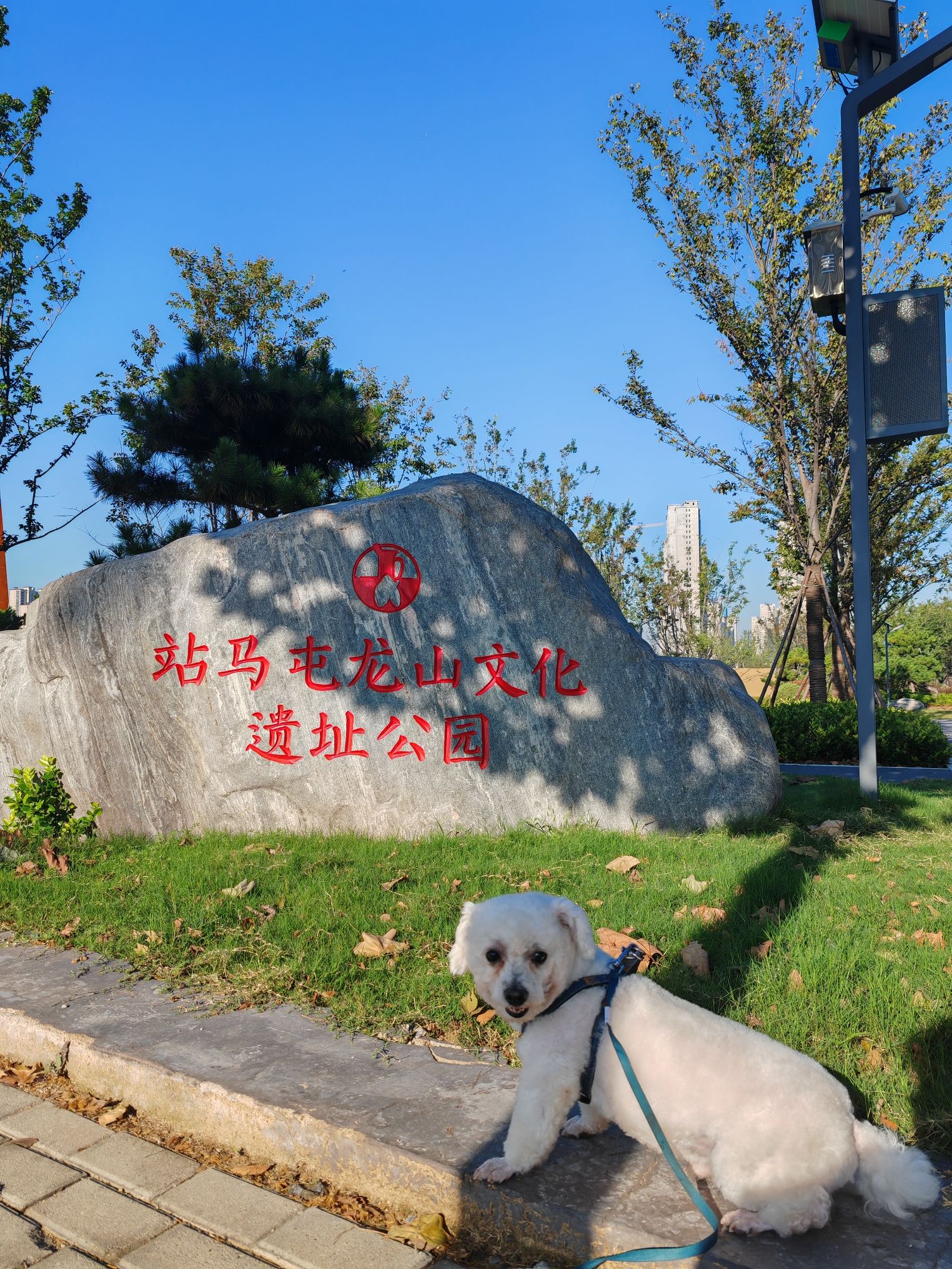 站马屯龙山文化遗址公园旅行图片 3
