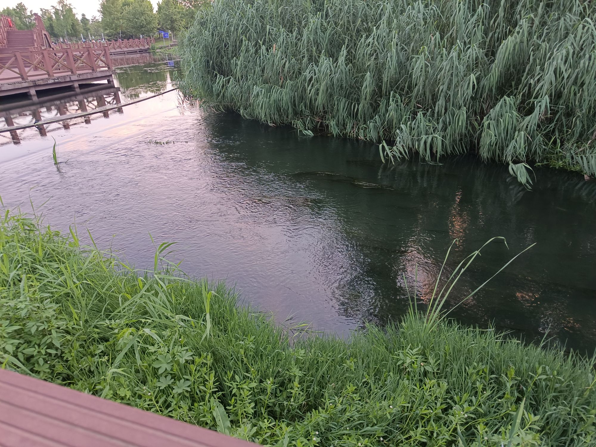 九道湾公园北园旅行图片 2
