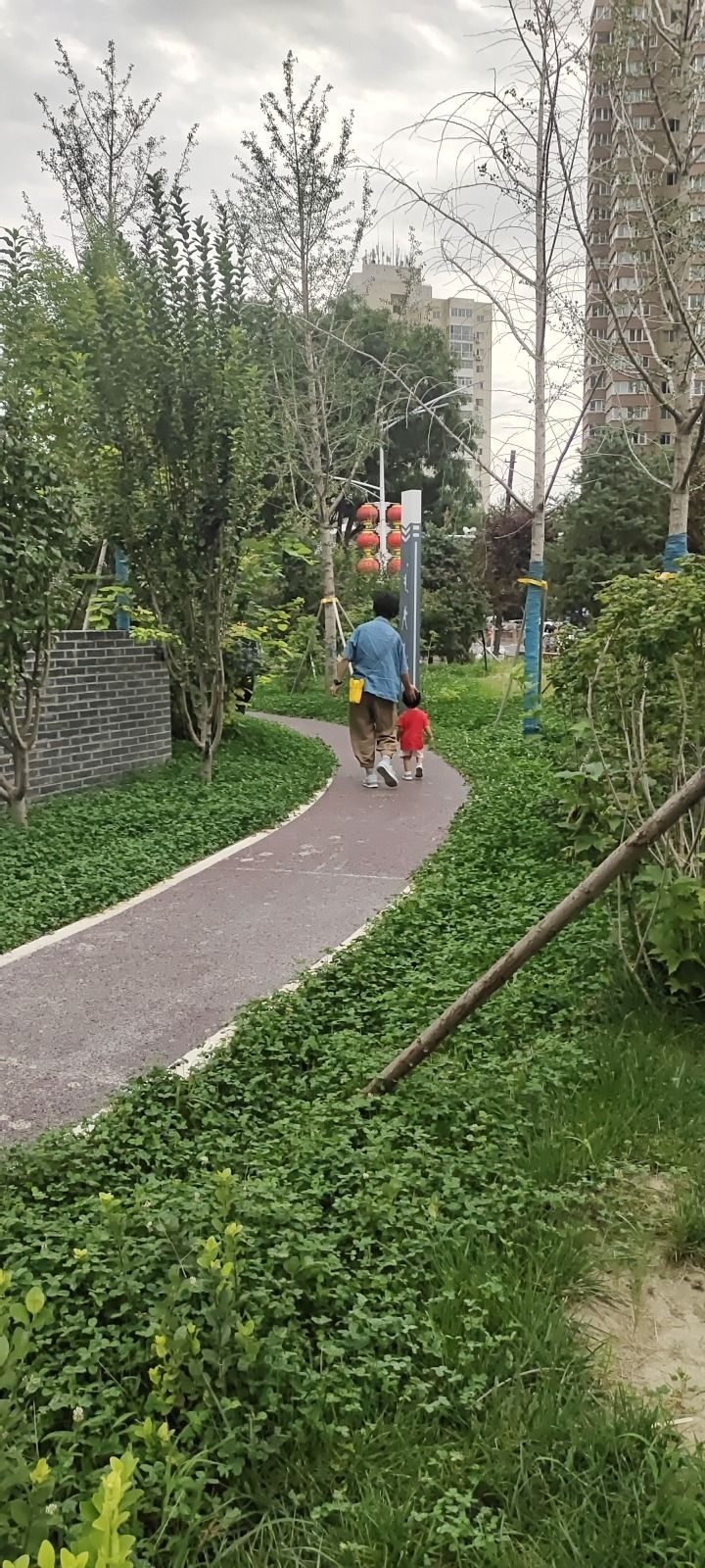 保定朝阳运动公园旅行图片 3