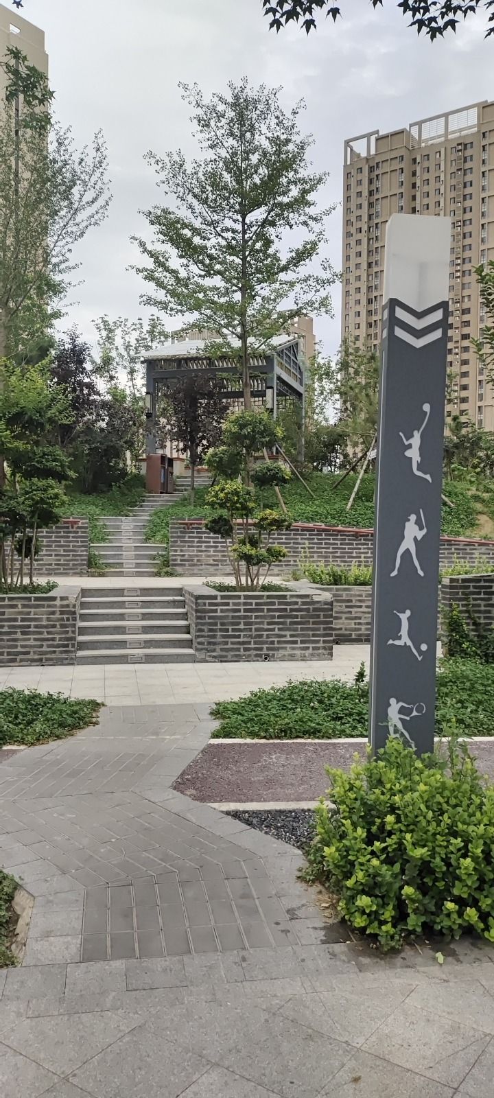 保定朝阳运动公园旅行图片 2