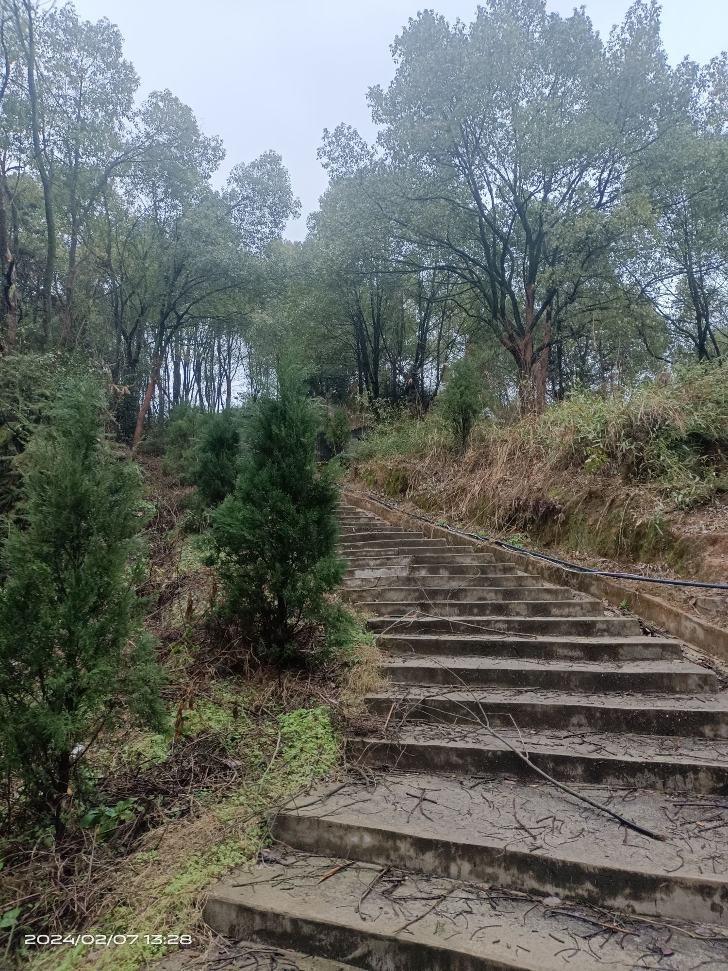 上栗镇烈士纪念碑旅行图片 3